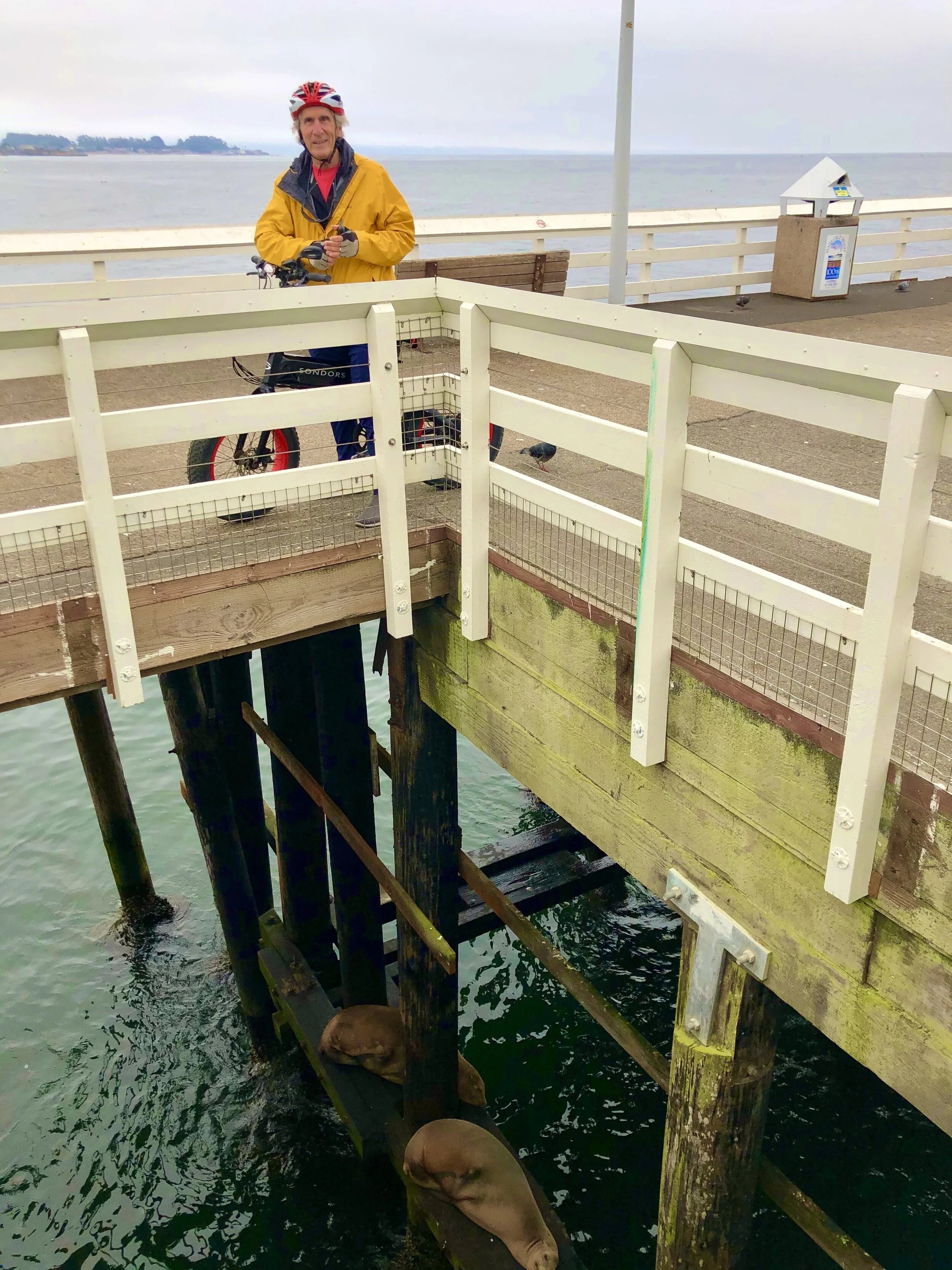 IMG_8293.jpeg (Den w Sea Lions)*.jpeg