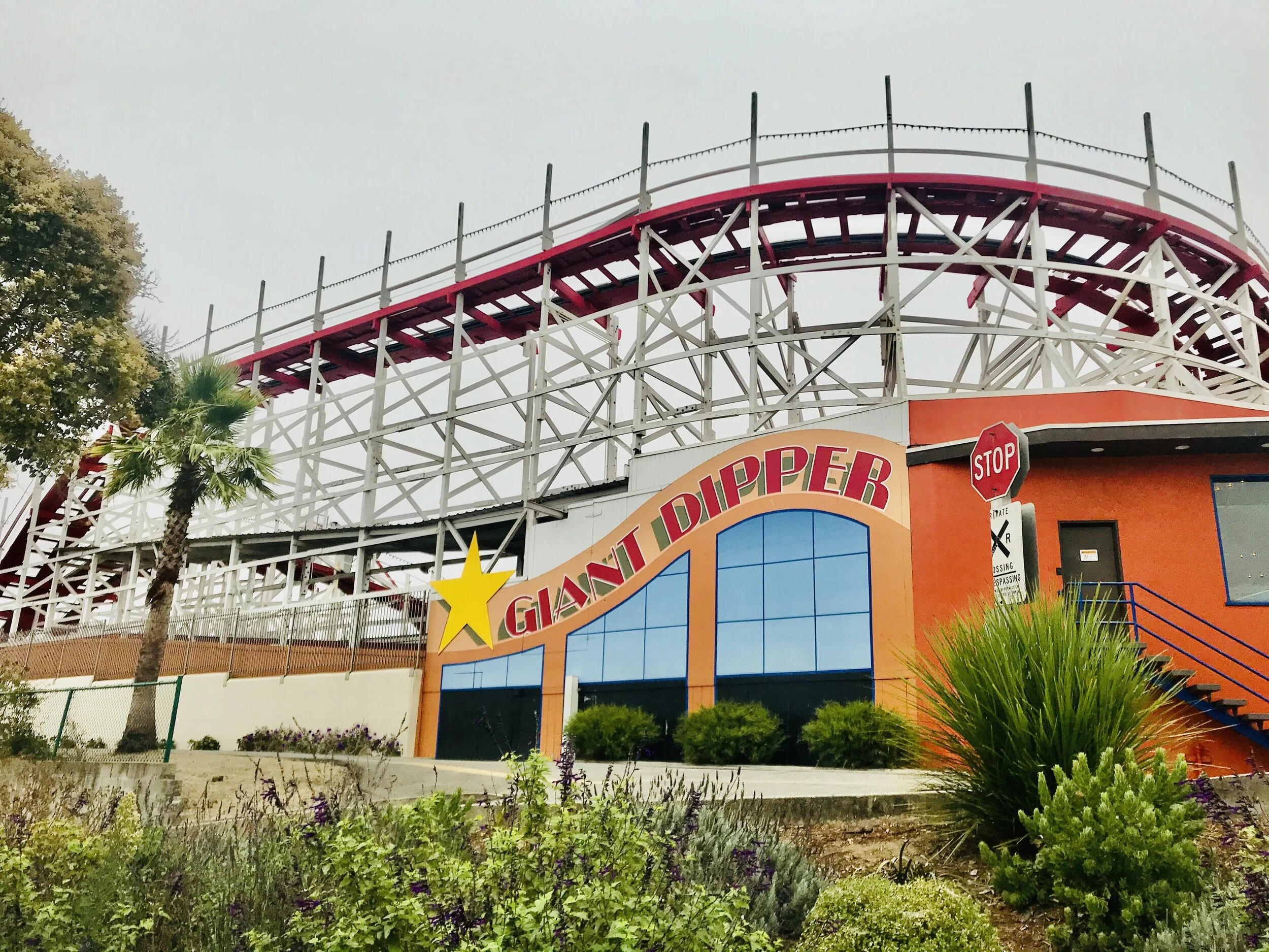 IMG_8209.jpeg (Giant Dipper Roller Coaster)*.jpeg