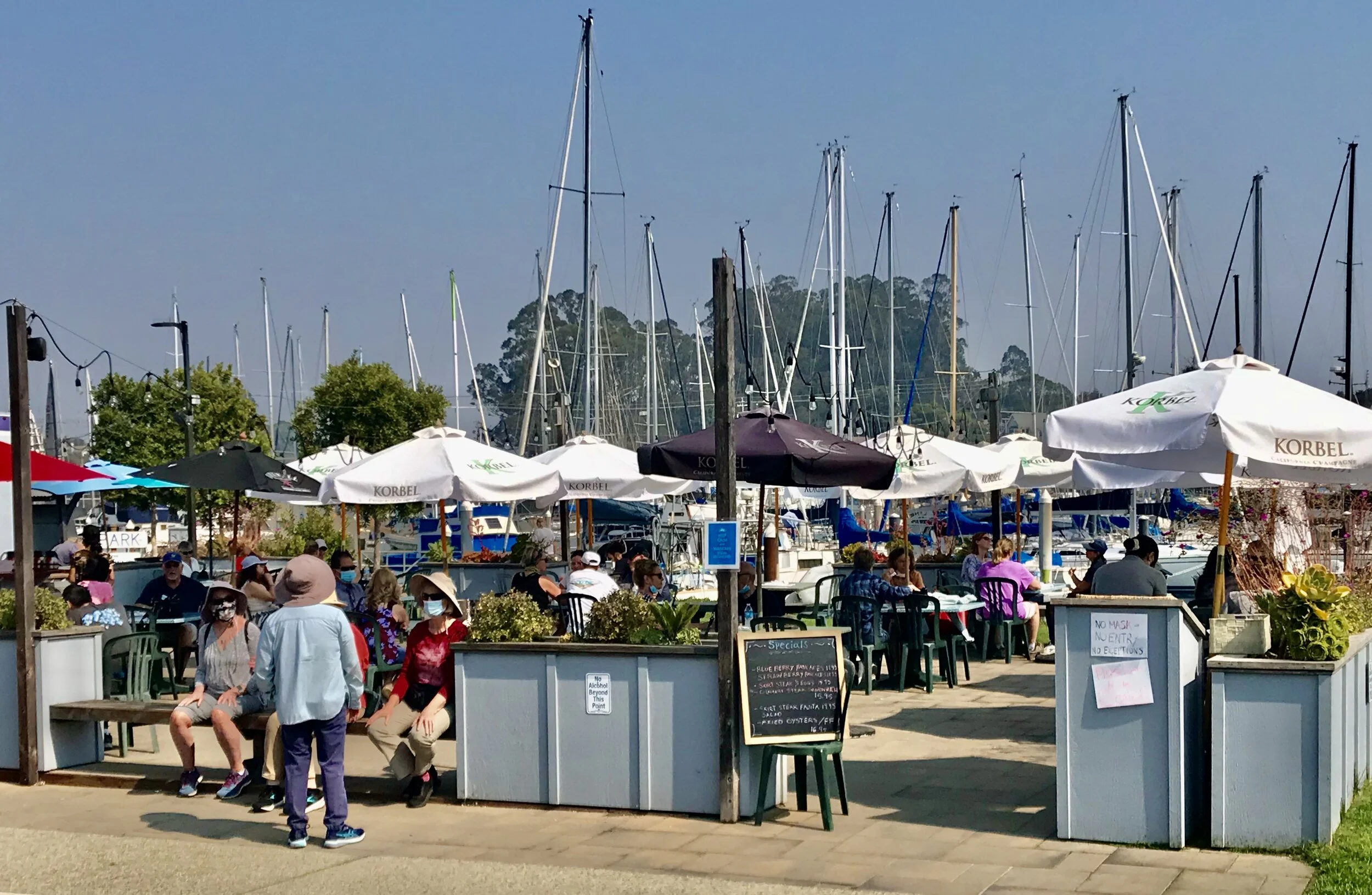 IMG_9286.jpeg 12**.jpeg