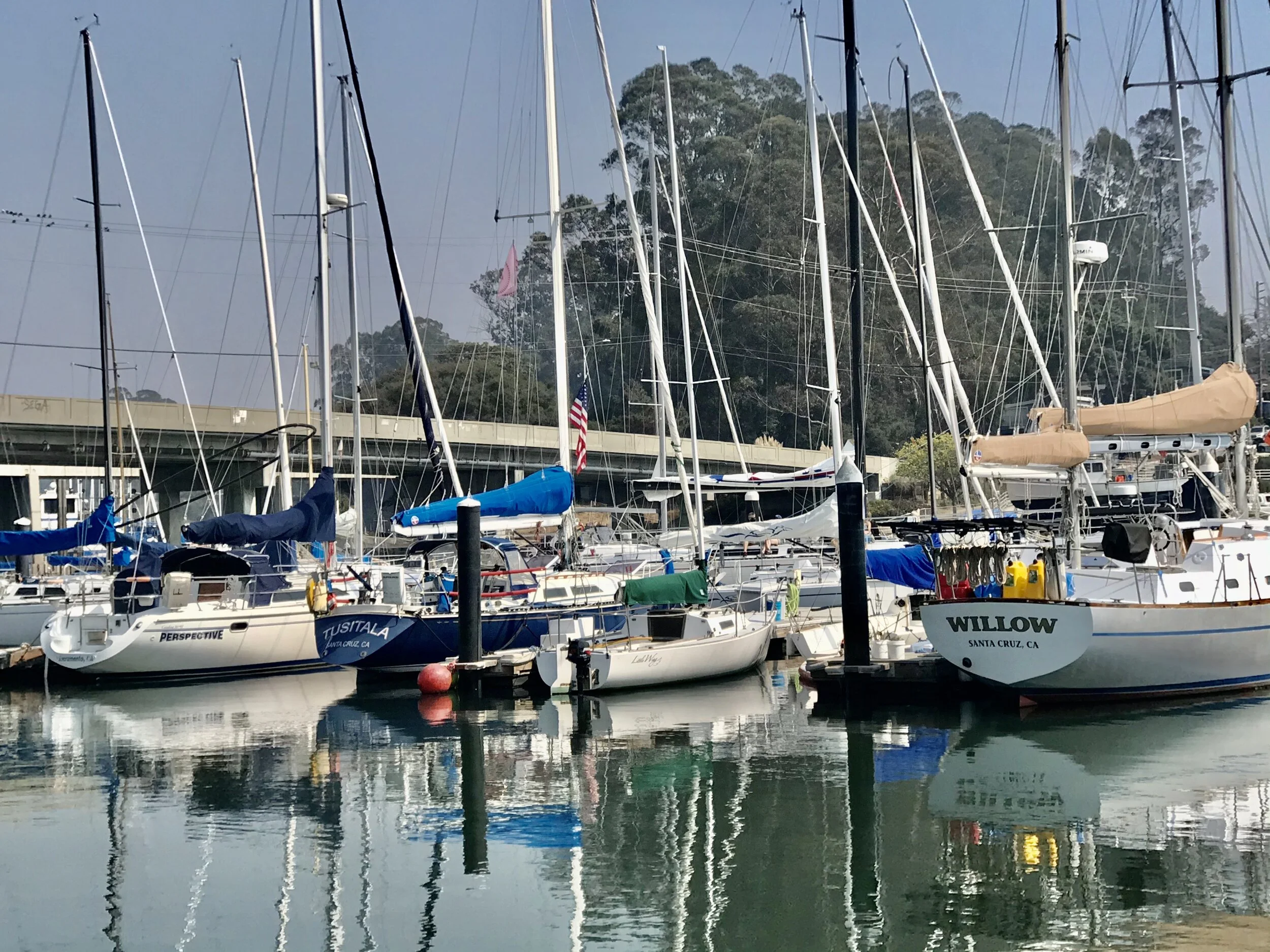 IMG_9288.jpeg 13**.jpeg