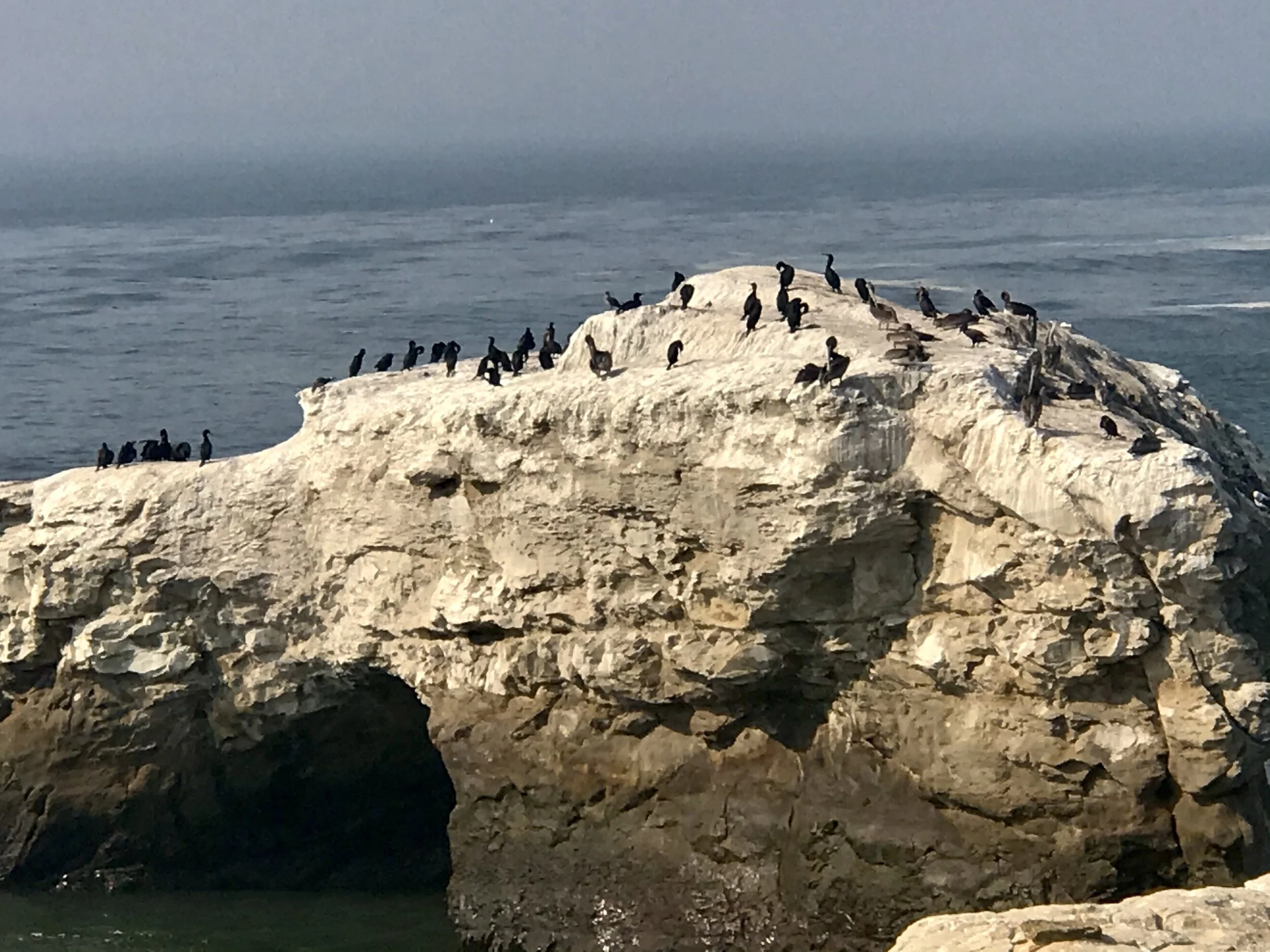 IMG_9239.jpeg 8***.jpeg