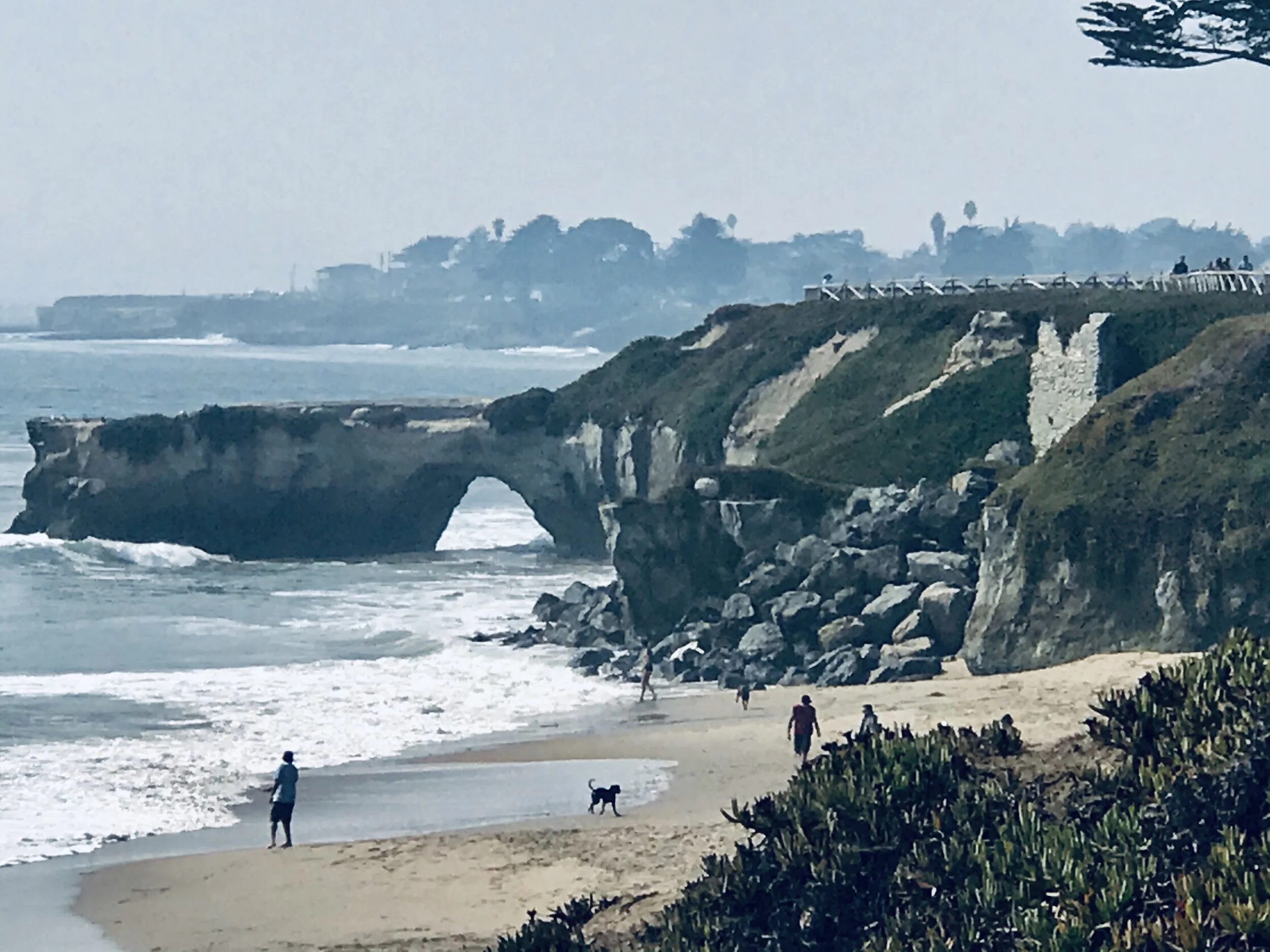 IMG_9346.jpeg 16**.jpeg