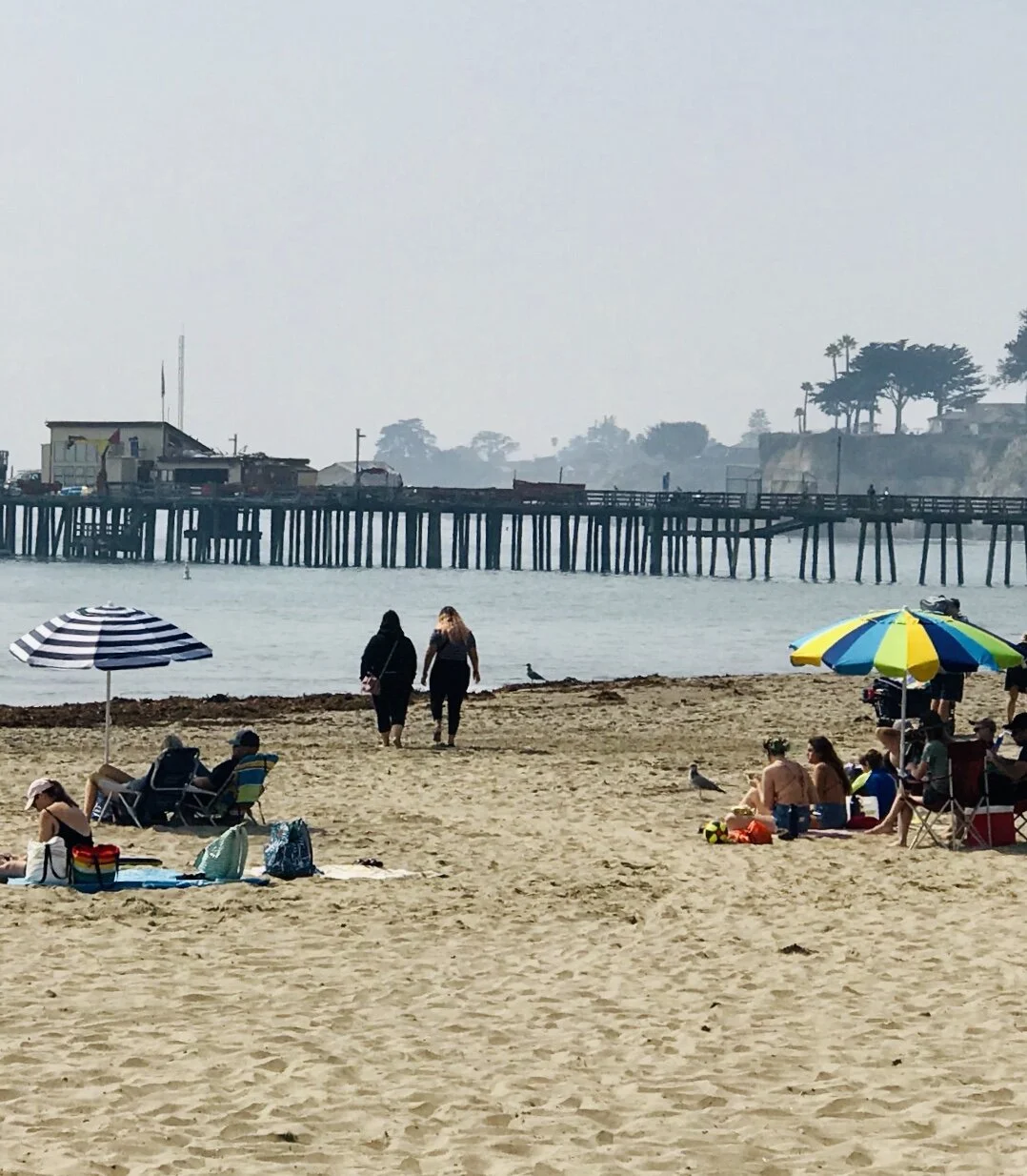 IMG_9371.jpeg 17**.jpeg