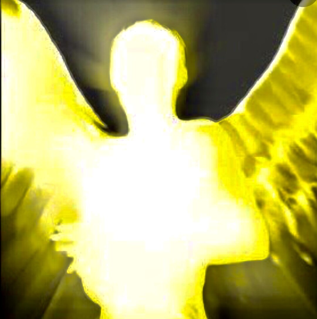 Yellow Angel wings.jpg