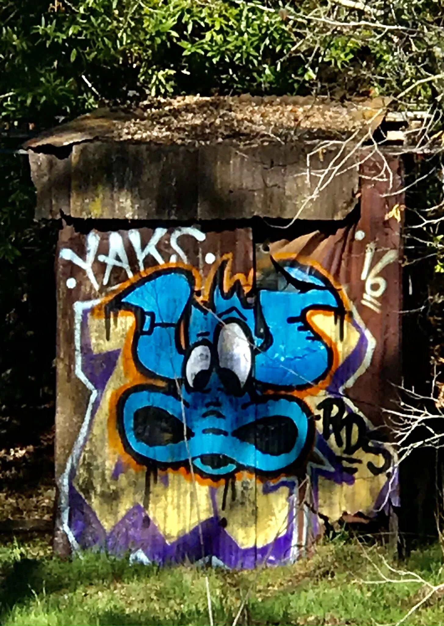 image.jpeg