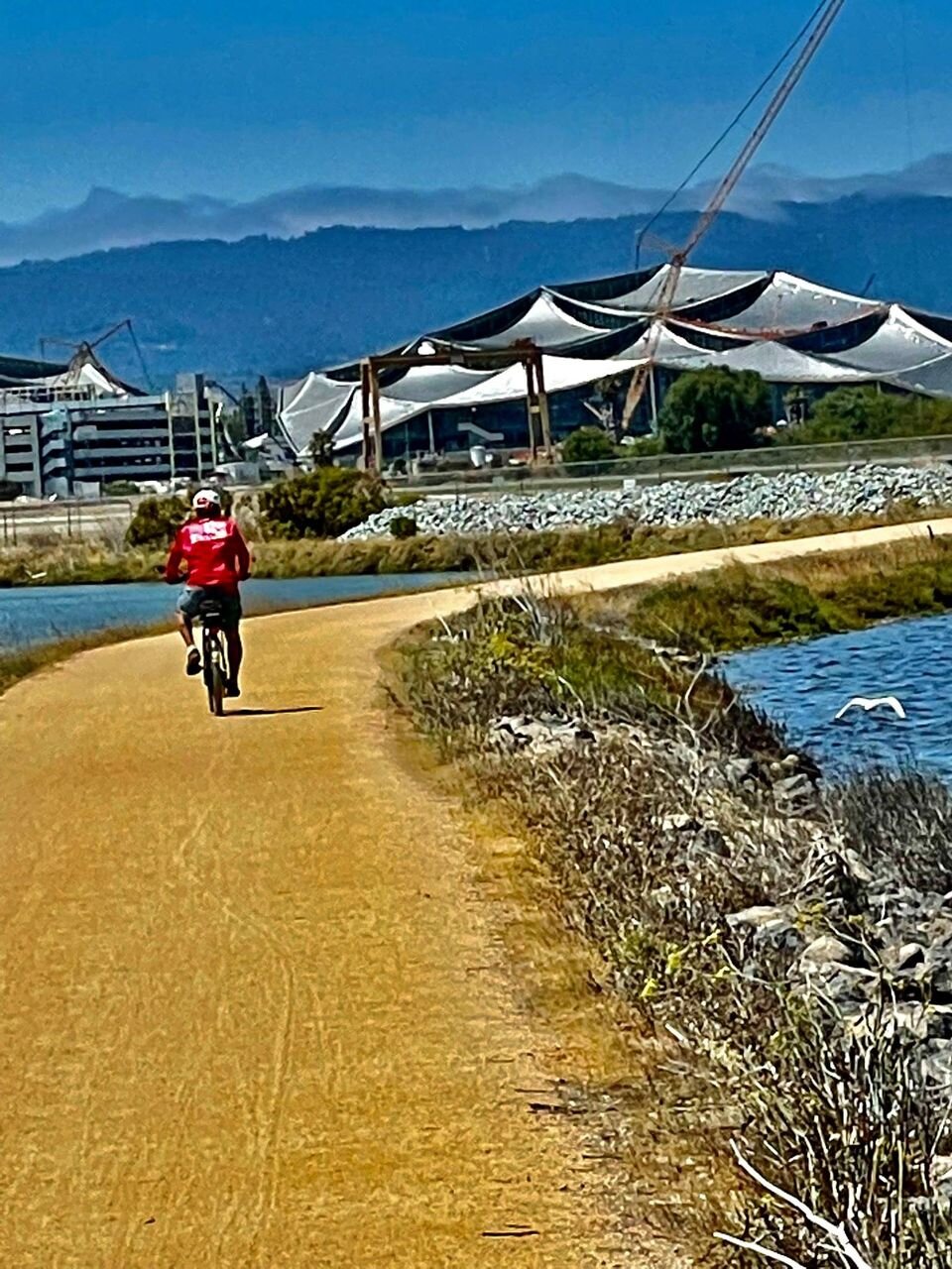 image.jpeg