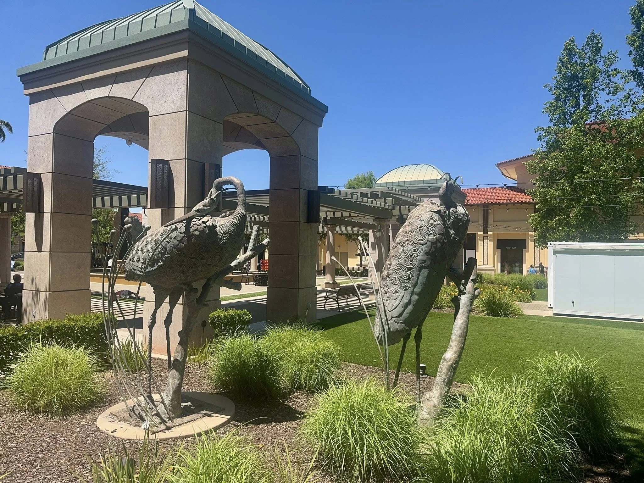 image.jpeg