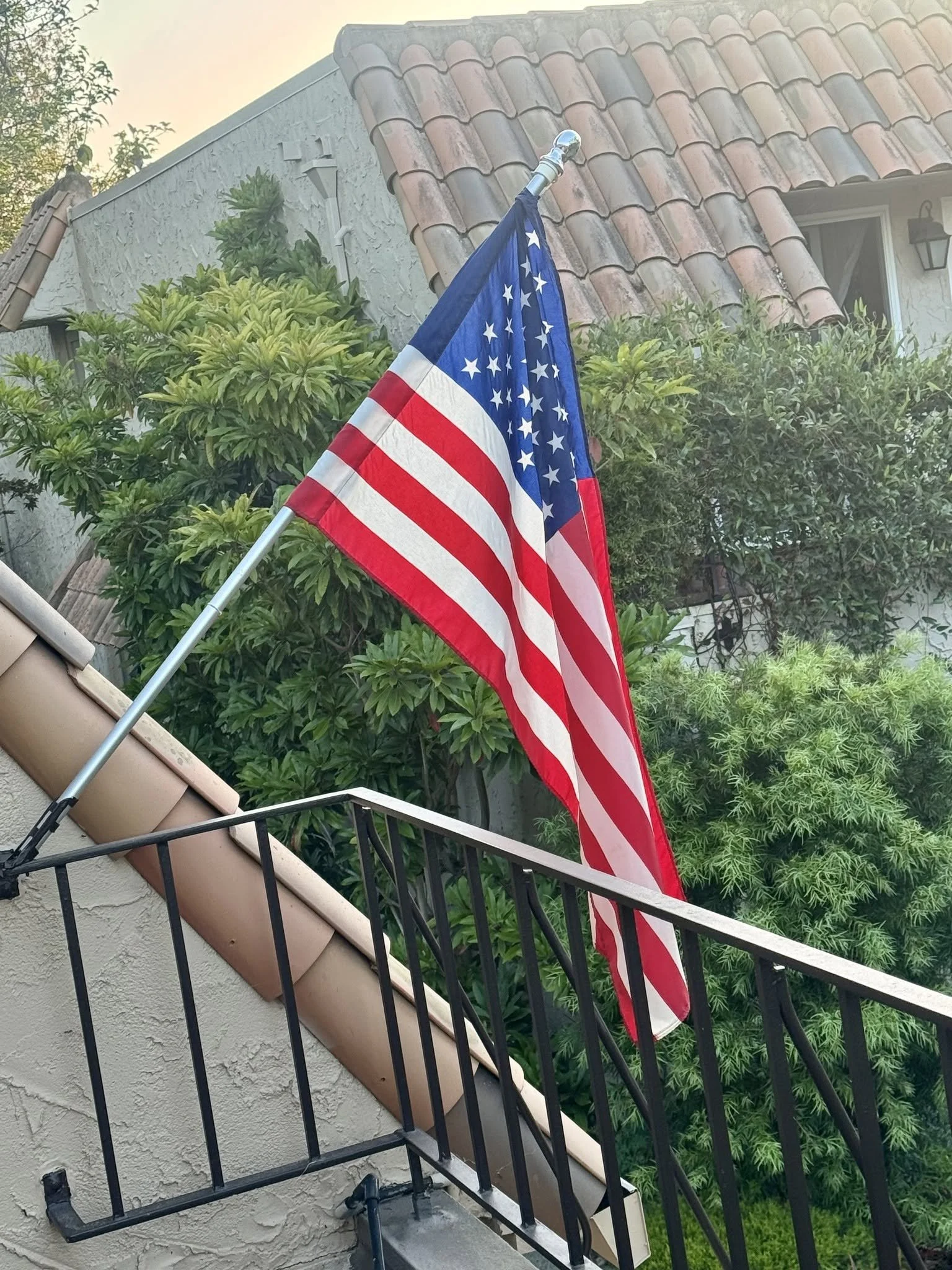 image.jpeg