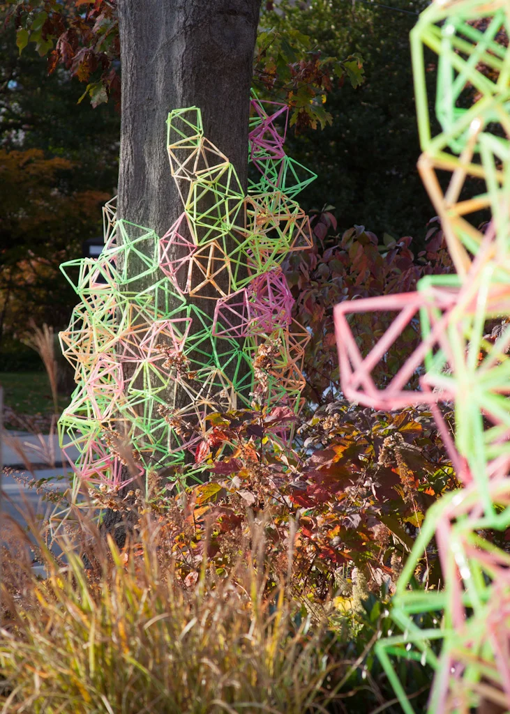 straws04.jpg