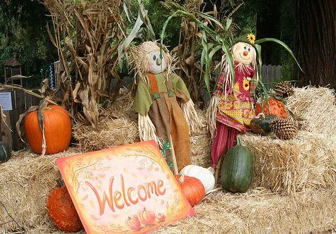 Fall Open House.jpg