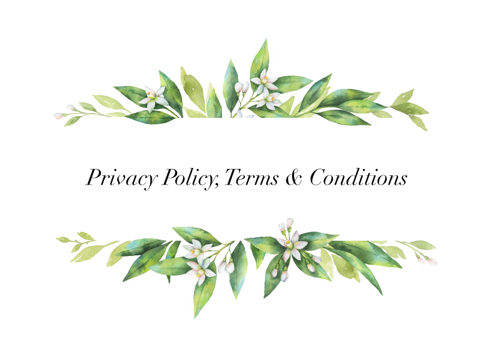 Privacy-Terms-Conditions.png