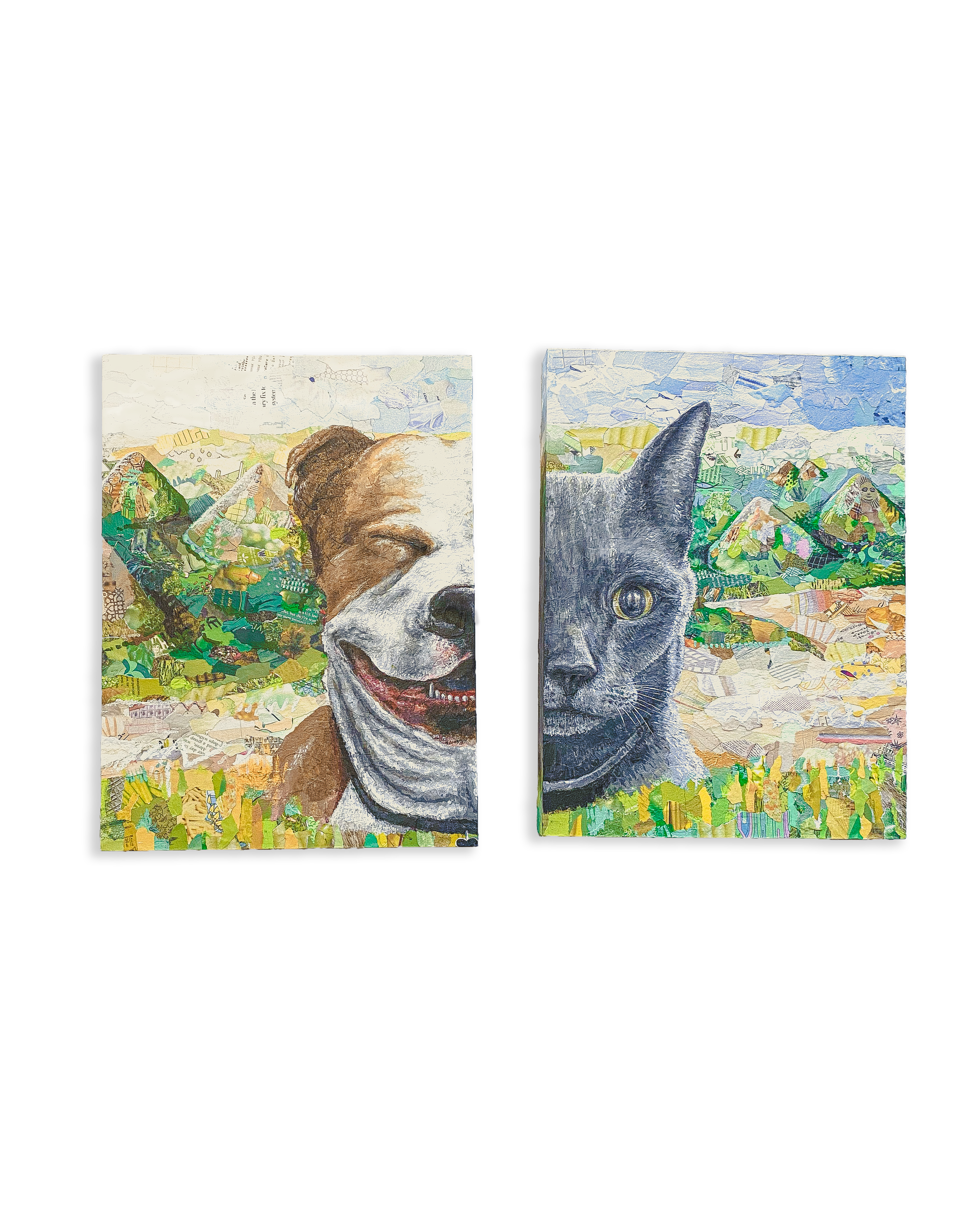 Cat_White_BG.png