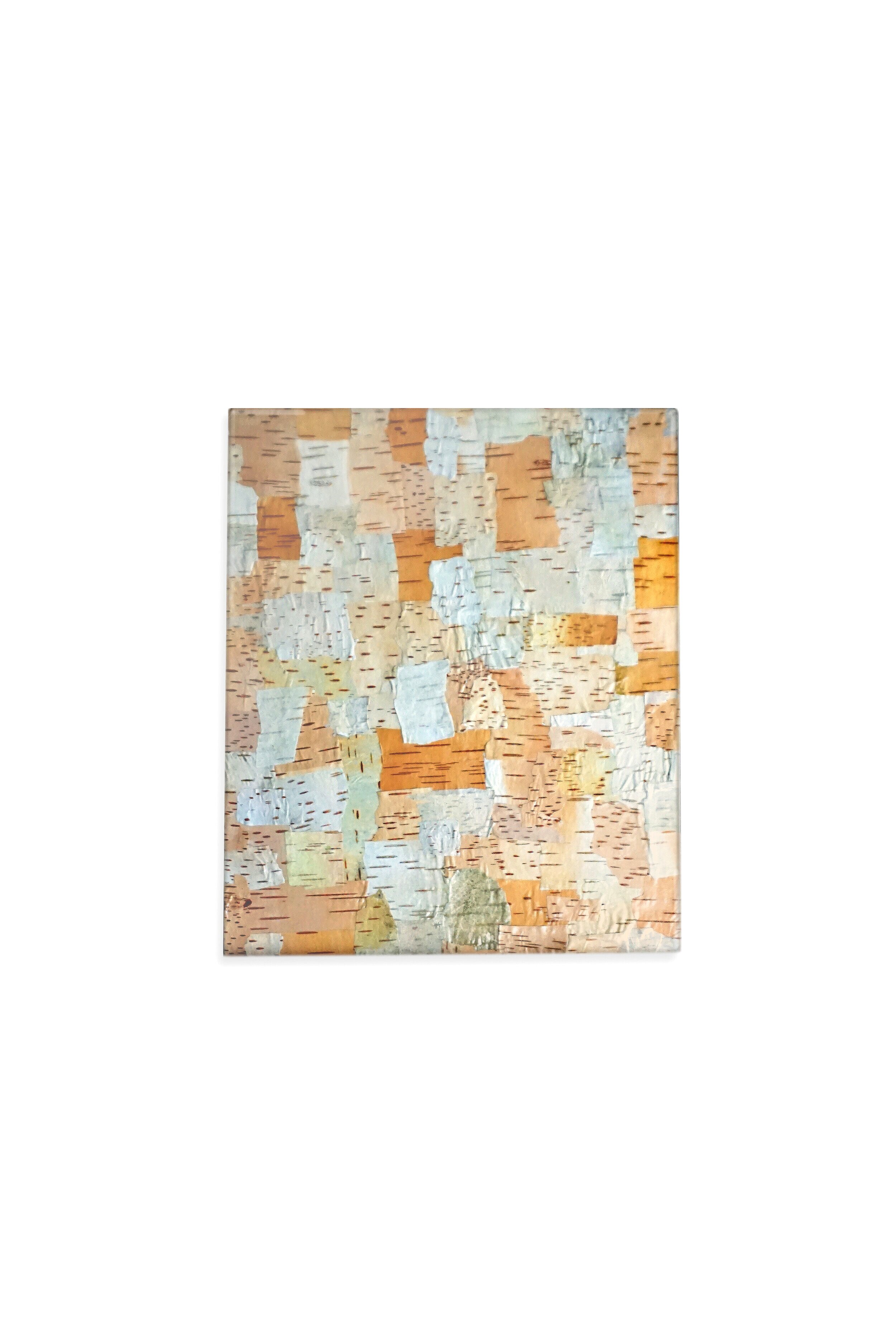 Birch_bark_white_bg.jpg