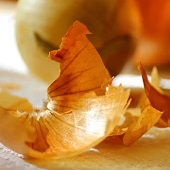 onion_skin_240x240.jpg