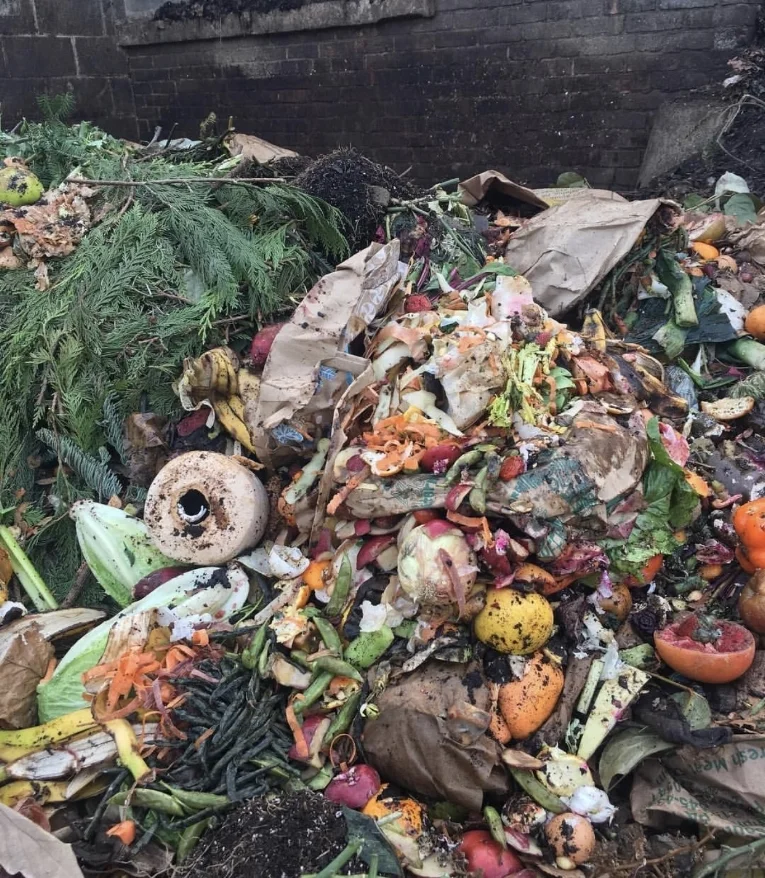 Way to much food waste is thrown into Landfill each year... great image from Bennett Compost a composting business based in the US illustrating you can compost more than you think!