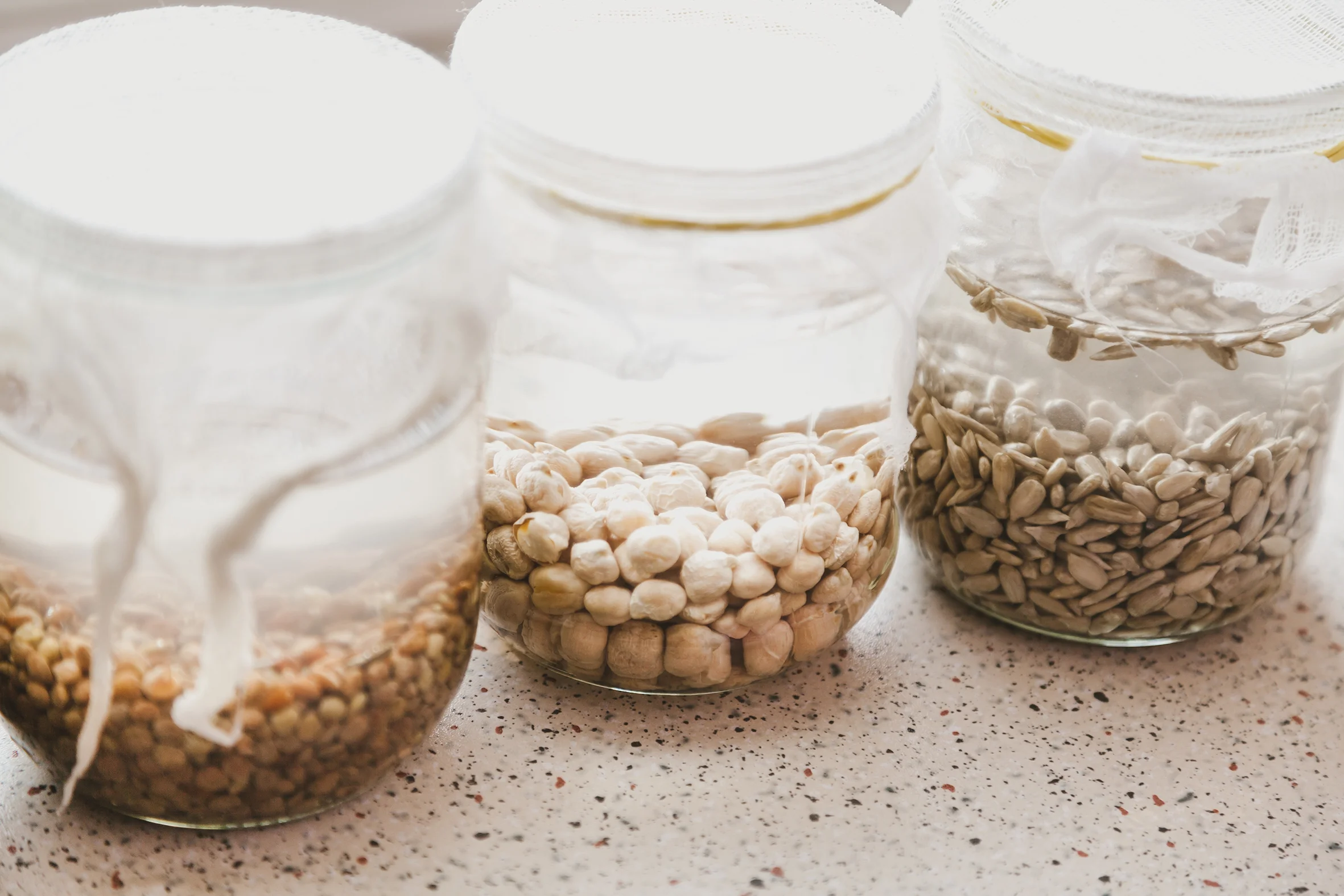 Fermenting Grains, Beans, Nuts &amp; Seeds