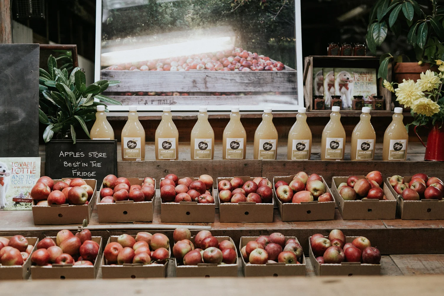 Produce — Logan Brae Orchards