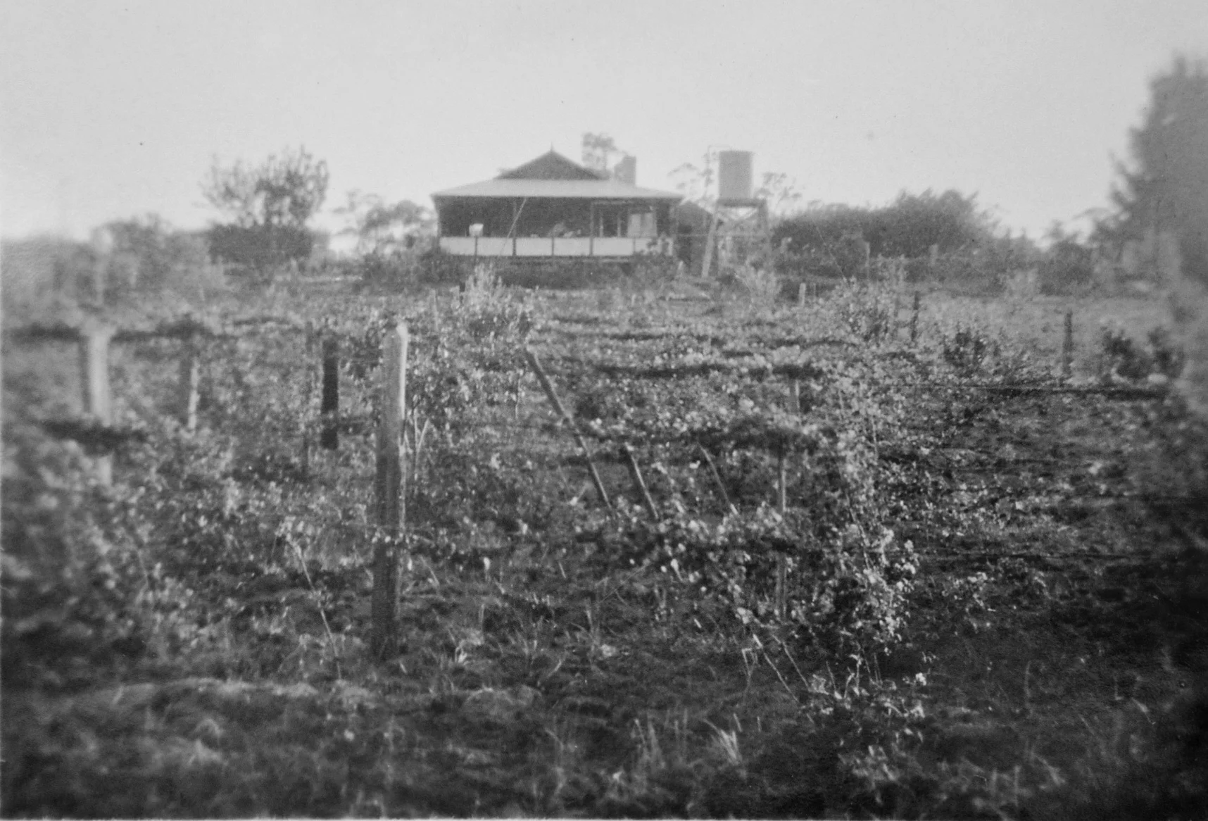 DSC_0182.jpeg