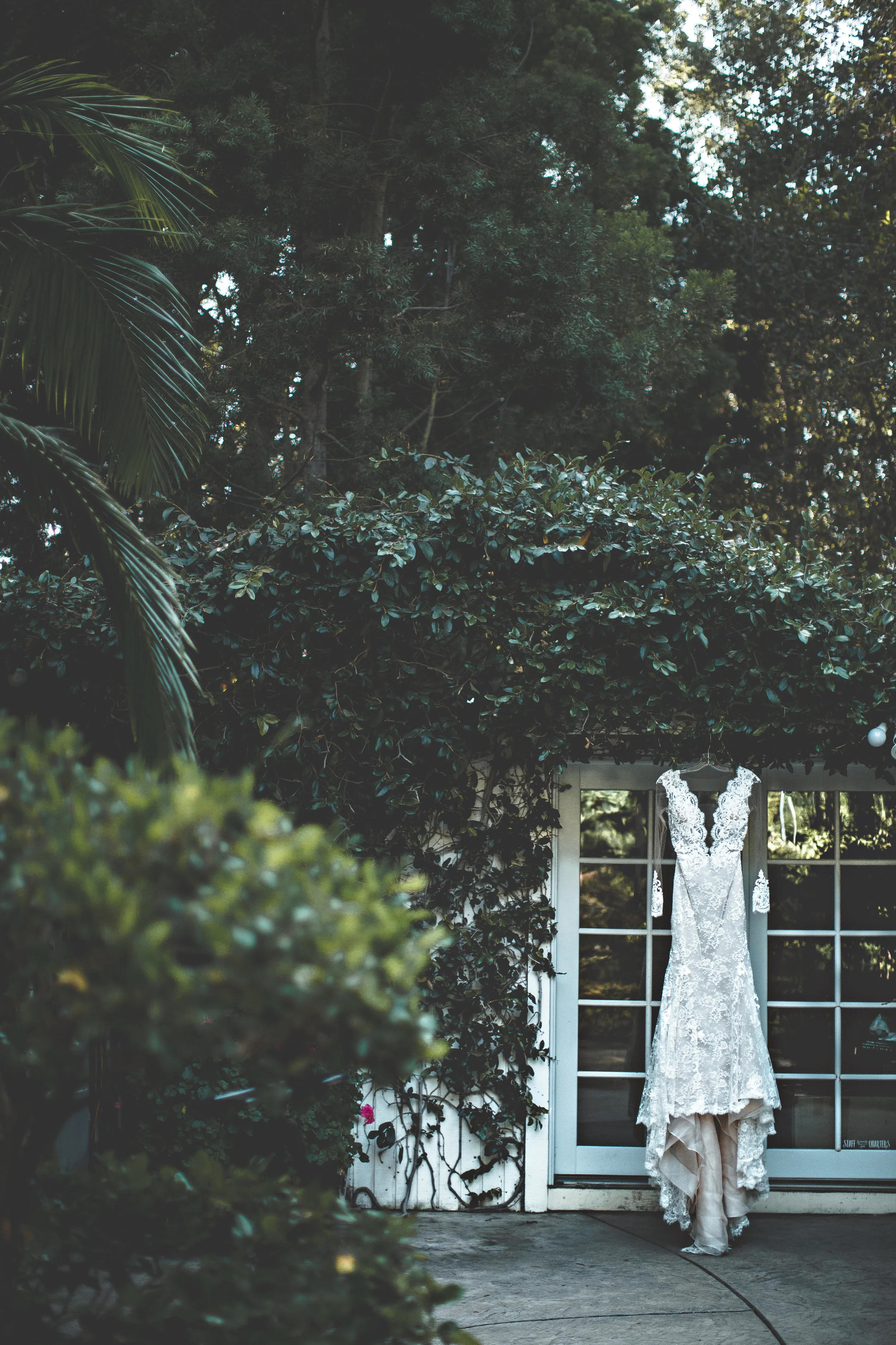 C84A7531-Edit.jpg