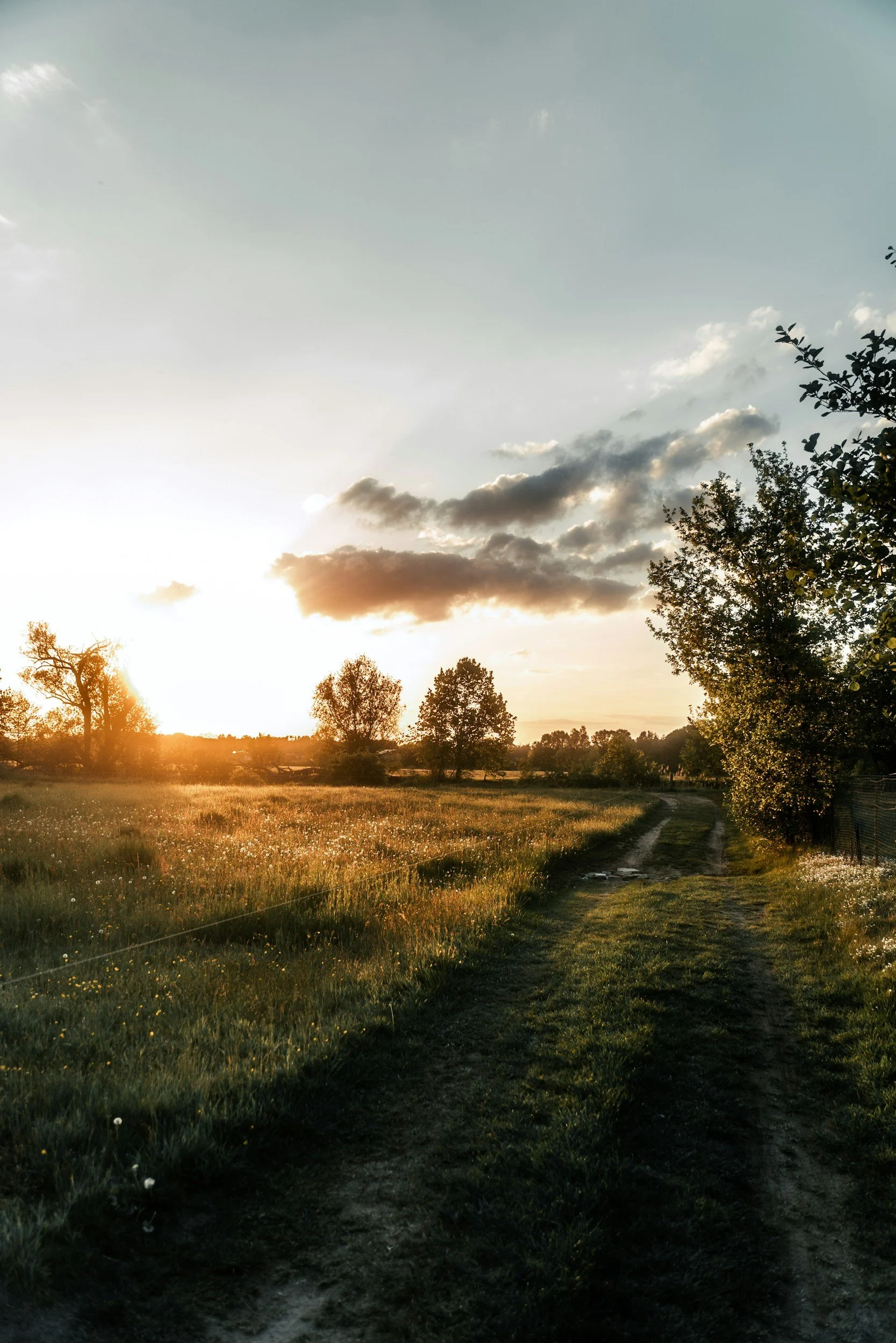 A rural dirt path running through a grassy field with trees on either side, illuminated by golden sunlight during sunset under a partly cloudy sky.