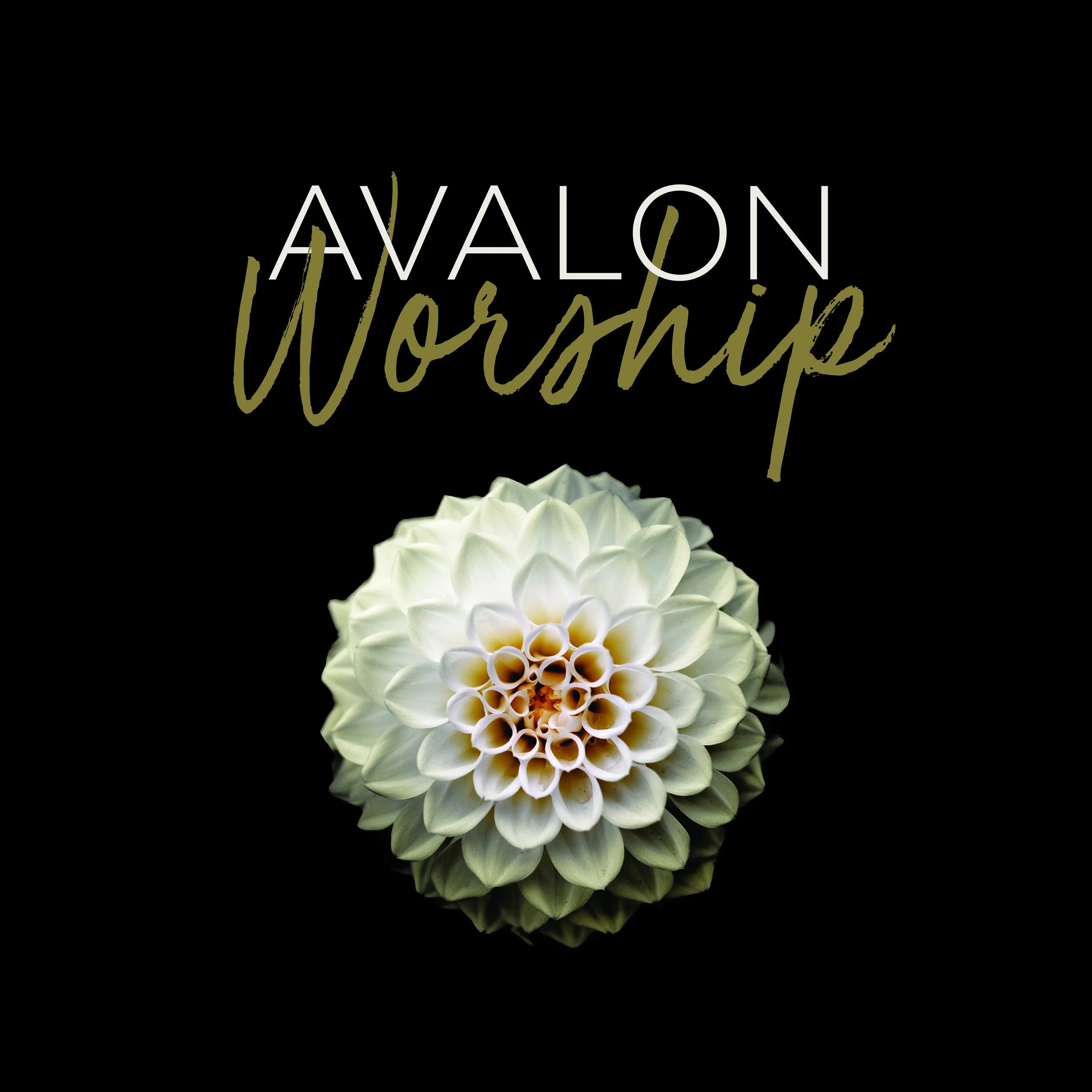 Introducing Avalon Worship