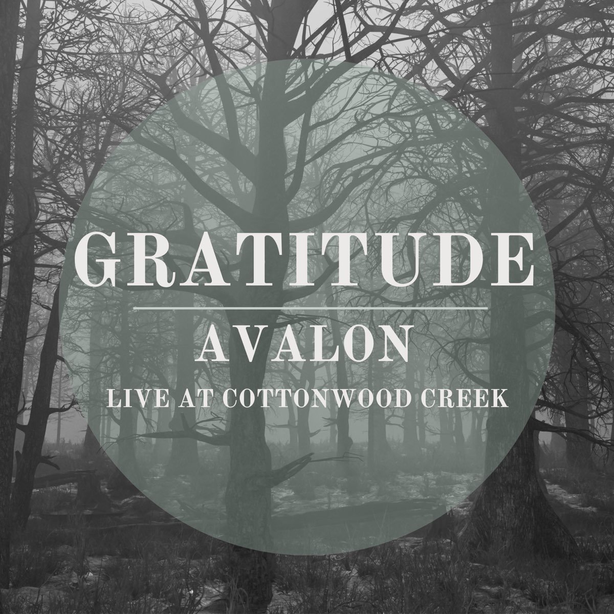 AVALON Inspires Worship with Uplifting Song, "Gratitude," Recorded Live at Cottonwood Creek