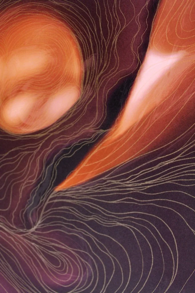 luminous-vessel-arora-detail_10034743113_o.jpg