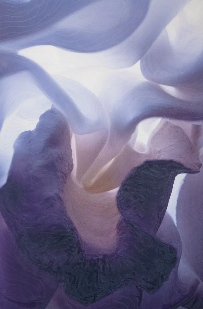 luminous-vessels_winter_10034759123_o.jpg