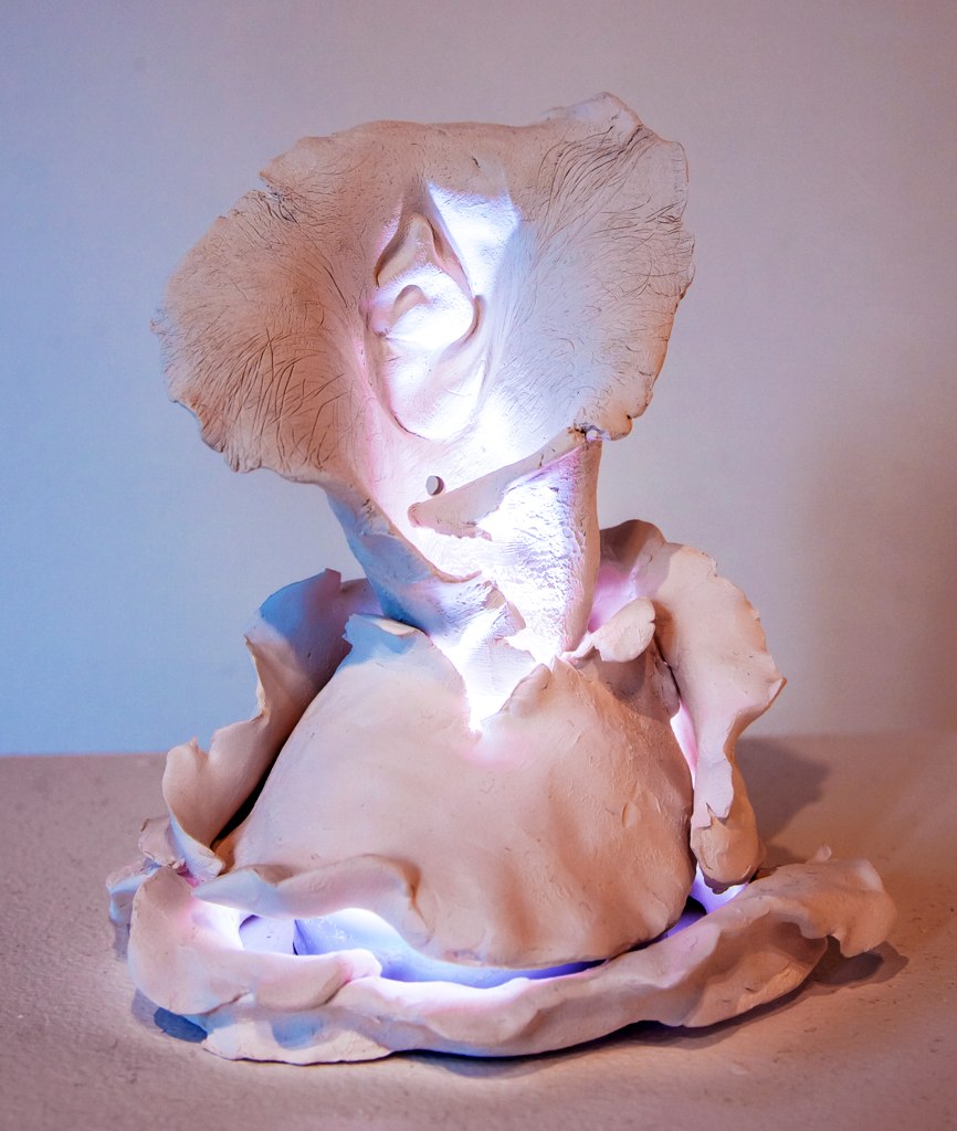 luminous-vessels-porcelain-ear_10034903973_o.jpg
