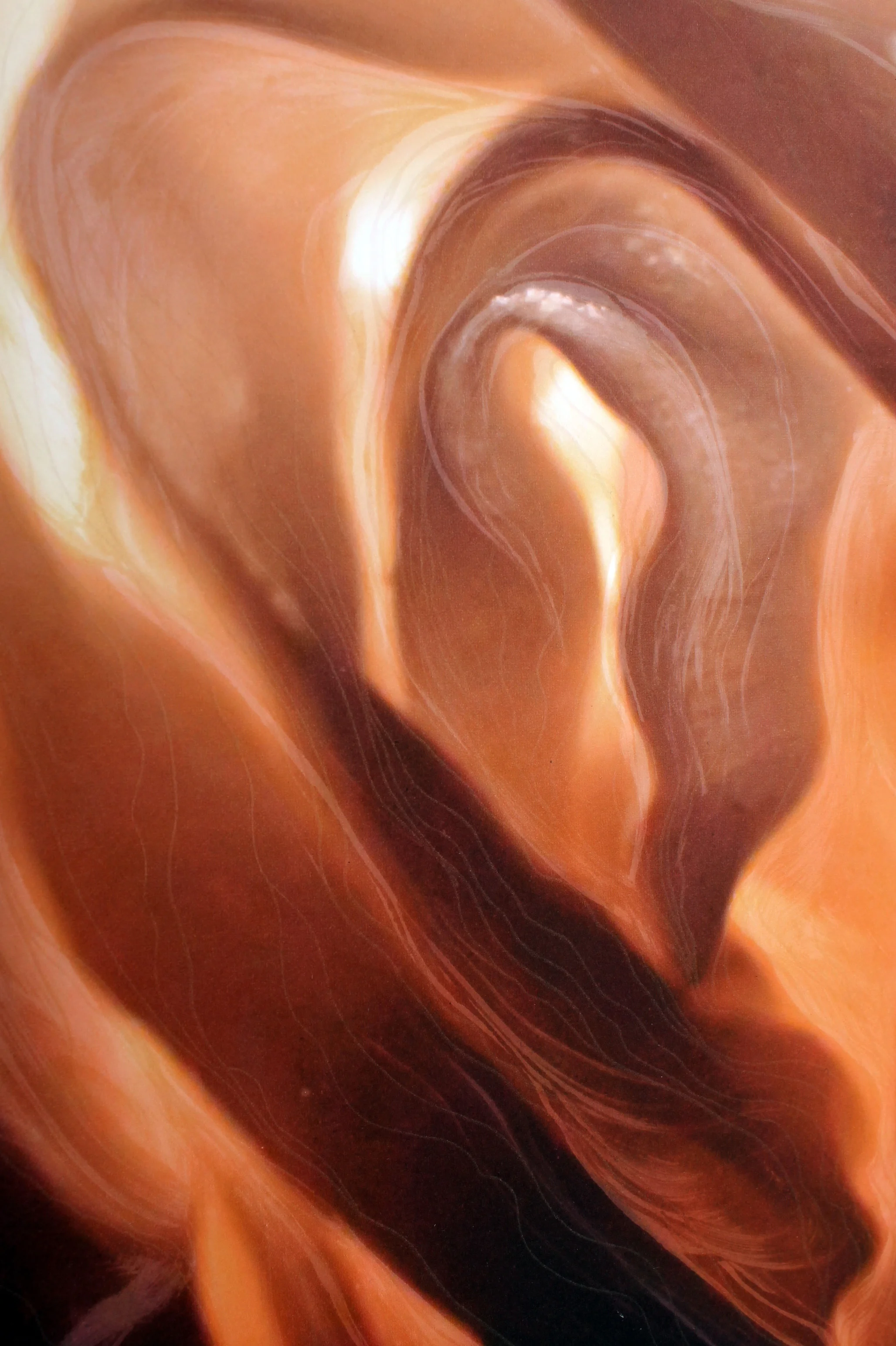 luminous-peach-detail_7345882258_o.jpg