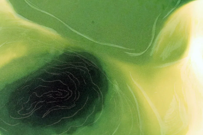 lumious-green-detail-2_7160665083_o.jpg