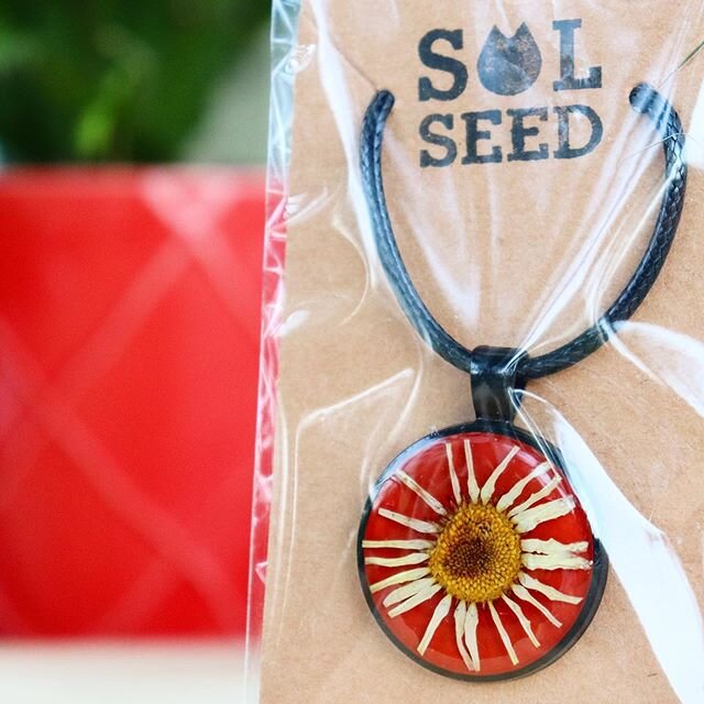 NEW JEWELRY is now available in the online shop! 😍 Locally handpicked plants preserved in pendants ~ unique ~ durable ~ packaged in biodegradable plastic