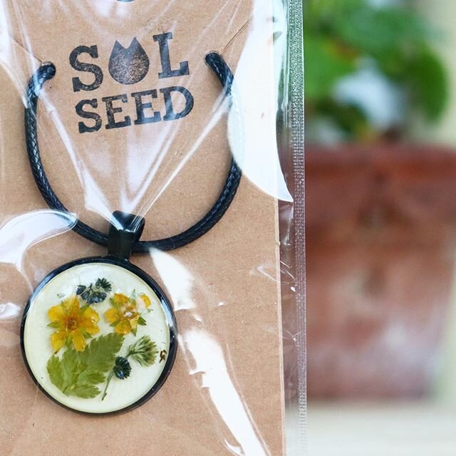Here&rsquo;s some SOL&rsquo;d necklaces! 🌻 There are plenty more available in the online shop ~ get your Plant Life Jewelry today!