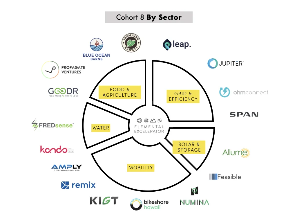 Cohort-8-by-sector.jpg