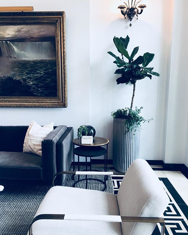 Little Vignette Of The Lobby I Worked On @thecarnegietower in Portsmouth, RI.
I Love Pushing Myself And I Am Pretty Flexible In Creating Different Aesthetics. #designedbymaisonlalopa ➕➕➕➕➕➕➕➕➕➕➕➕➕➕➕➕➕➕➕➕➕➕➕➕➕➕➕➕➕➕➕➕➕➕➕➕➕➕➕➕➕➕➕➕➕➕➕➕➕➕➕➕➕➕➕➕➕➕➕➕
#bosto