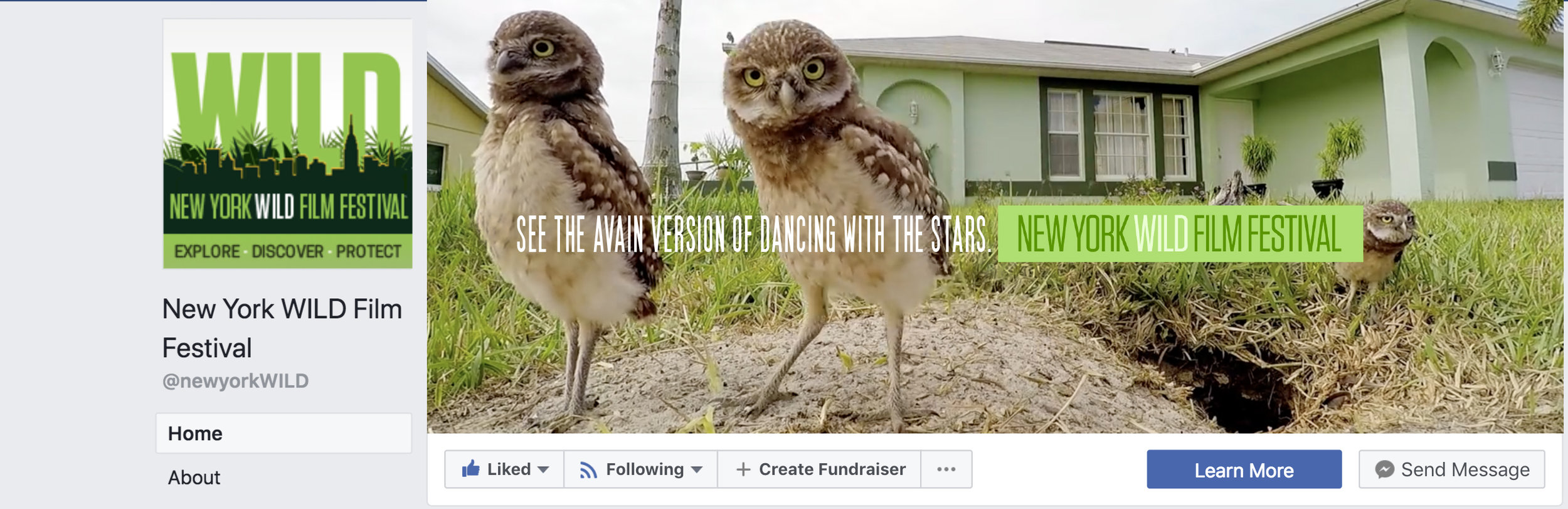NY WILD- FB BANNER-OWLS.jpg