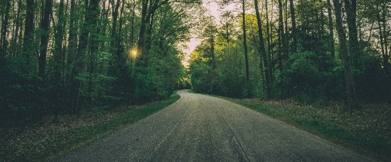 WoodRoad.jpg