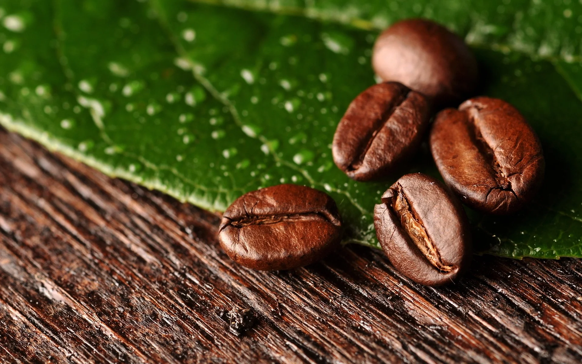 56412534-coffee-beans-wallpapers.jpg