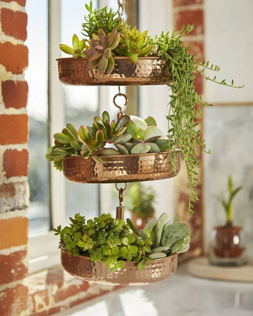 where do i buy lavender plants Back to the Roots - Buy 1 More Organic Lavender Windowsill Planter