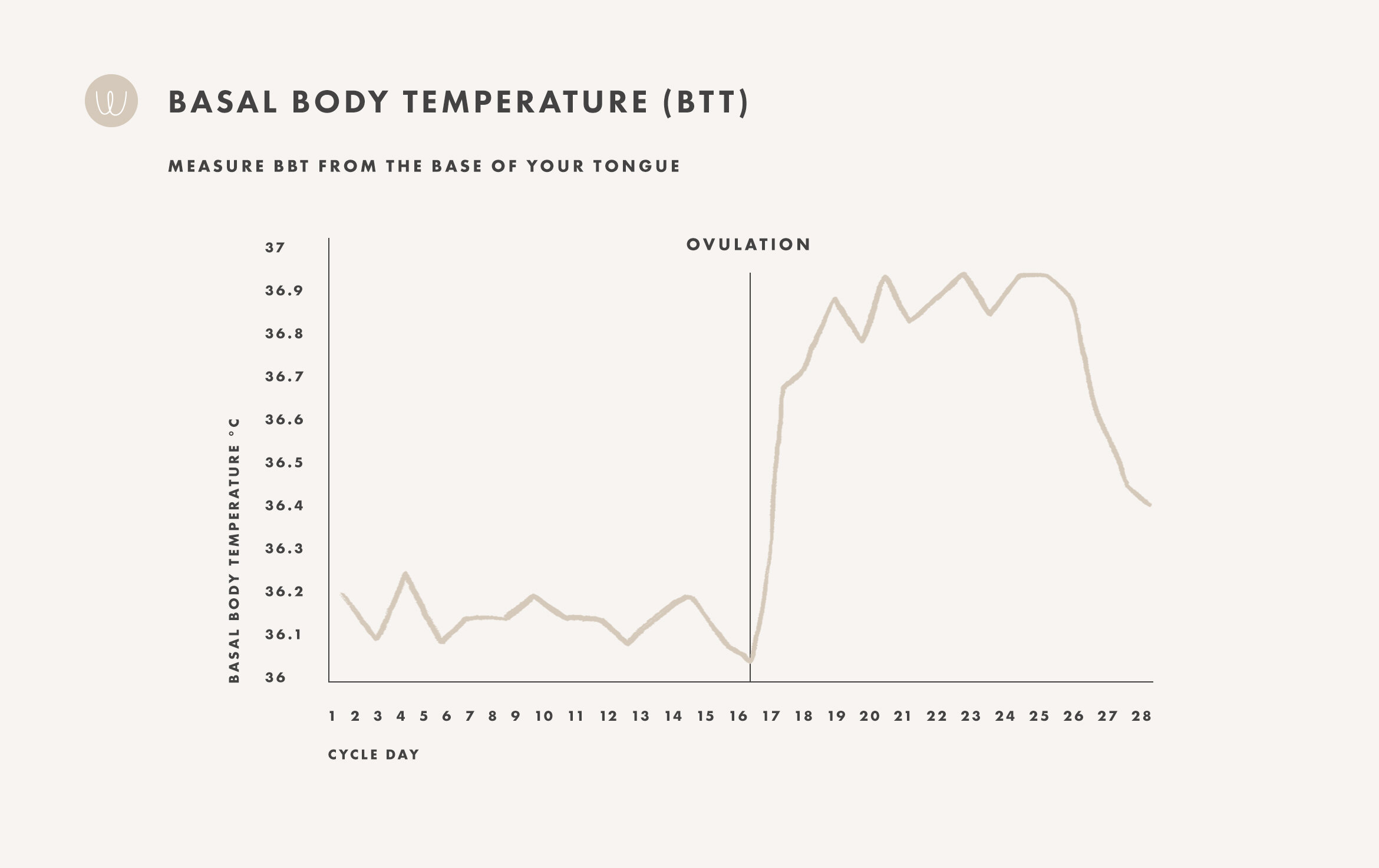 Evve-The Cycle Series-Ovulation Tracking page-Basal temperature 1910 @2x.jpg
