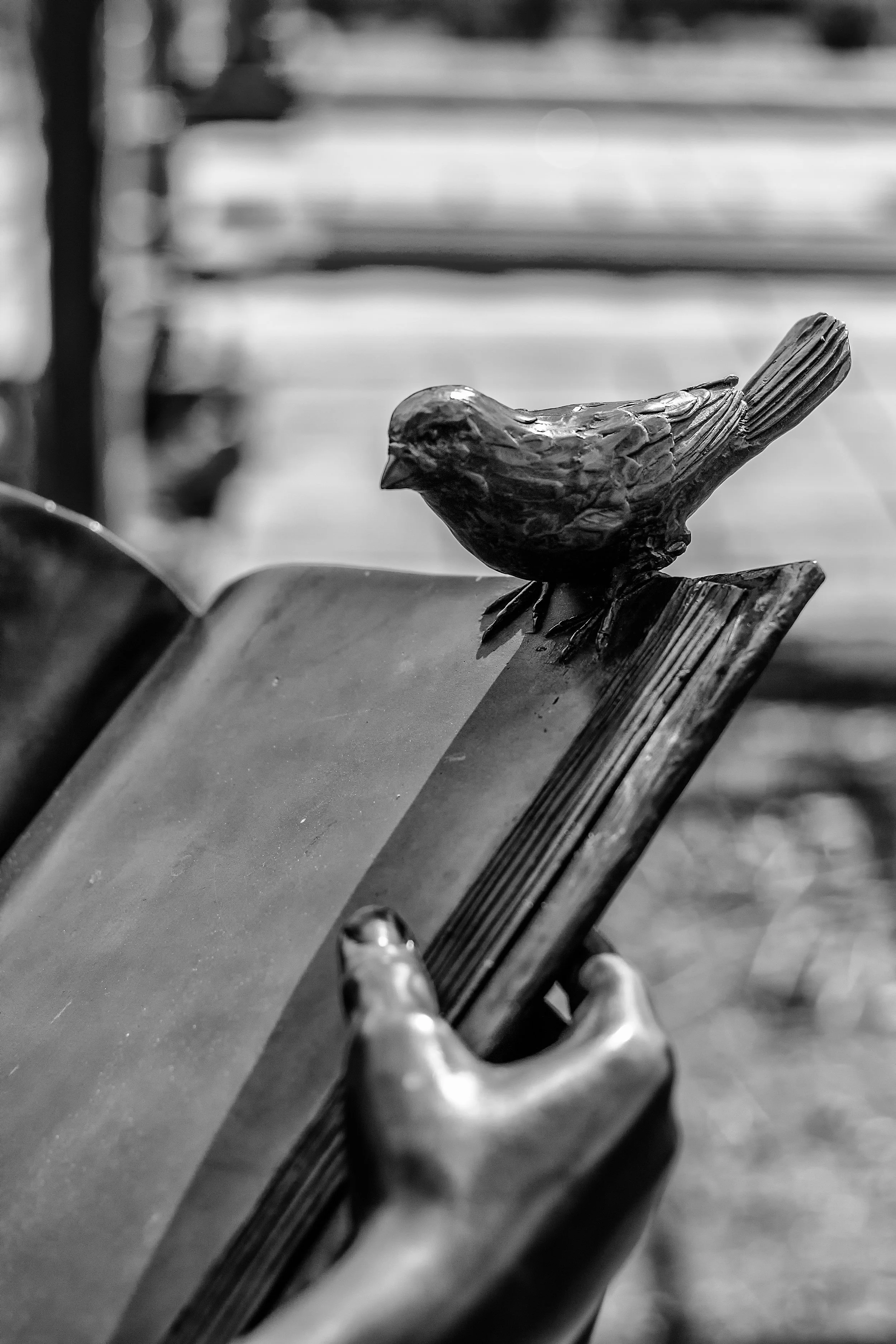 _MG_7286-Edit-Edit-Edit.jpg