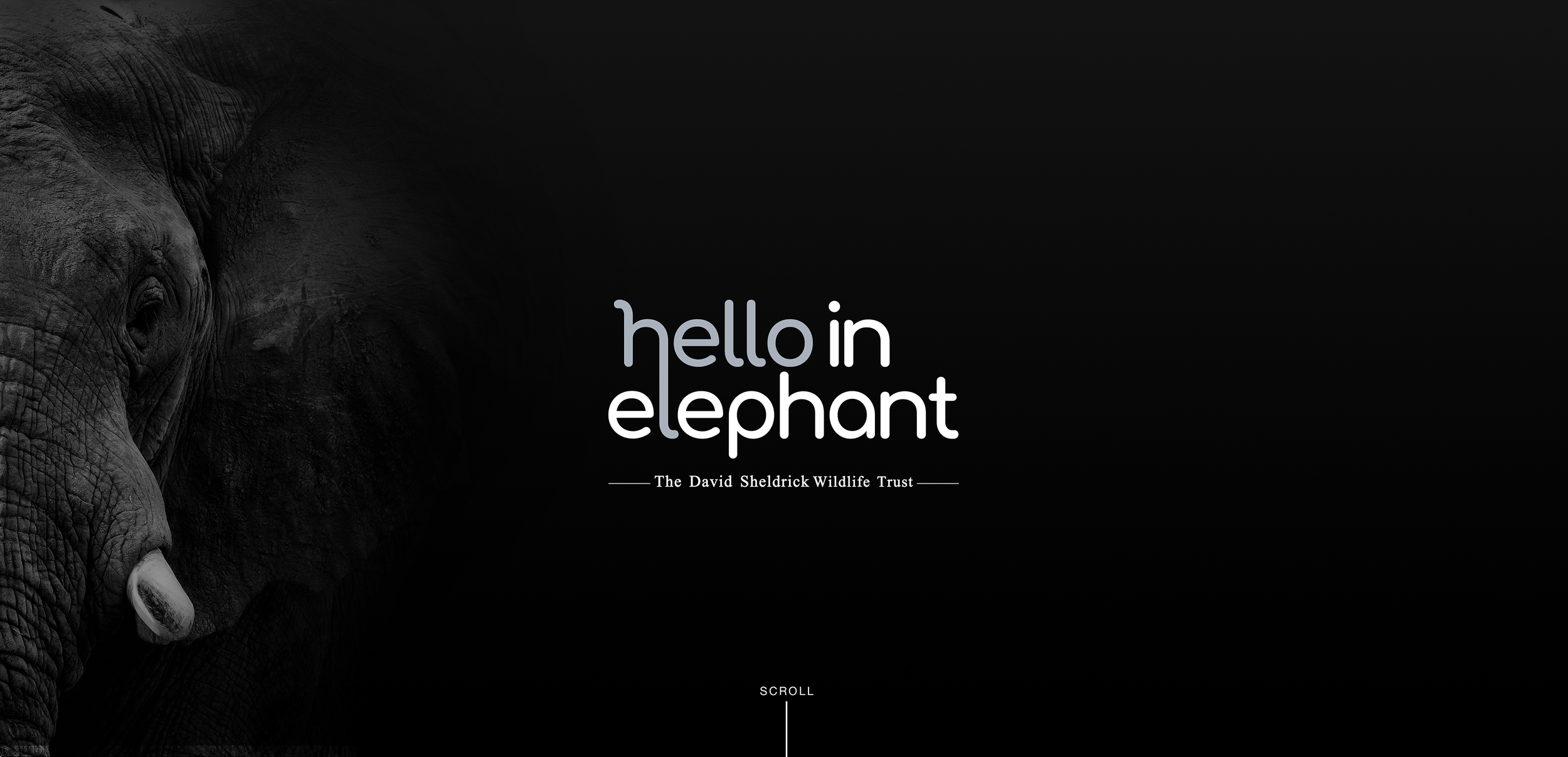 HEI header image.png