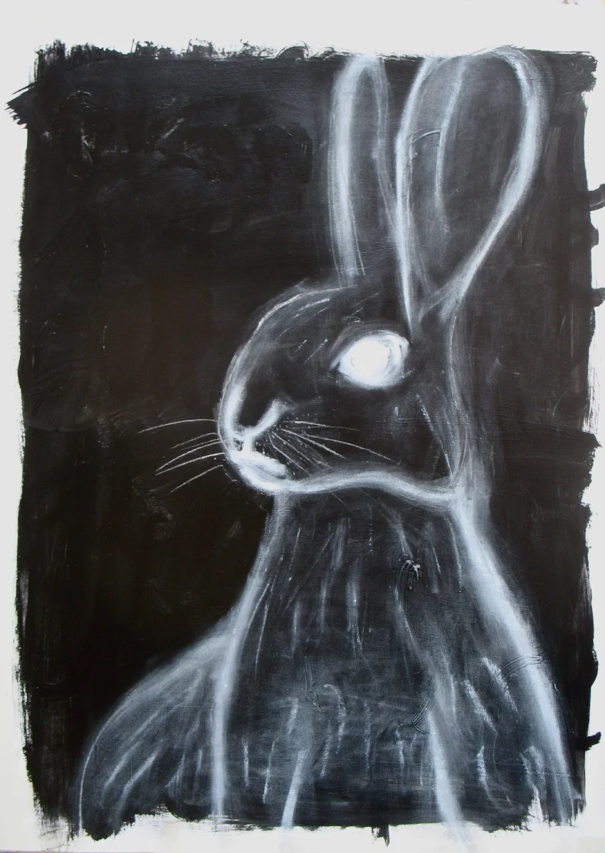 le lapin
