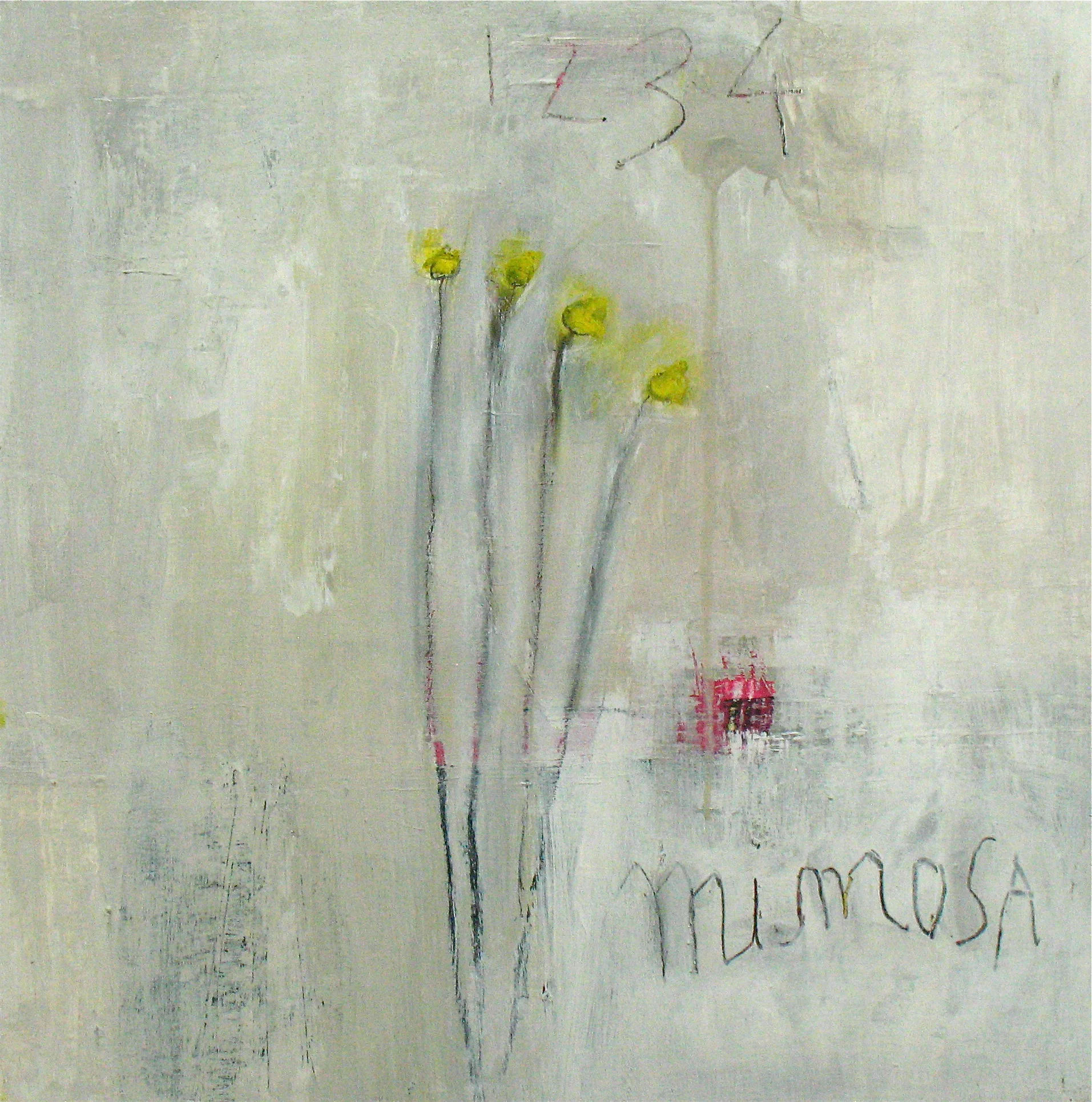 mimosa