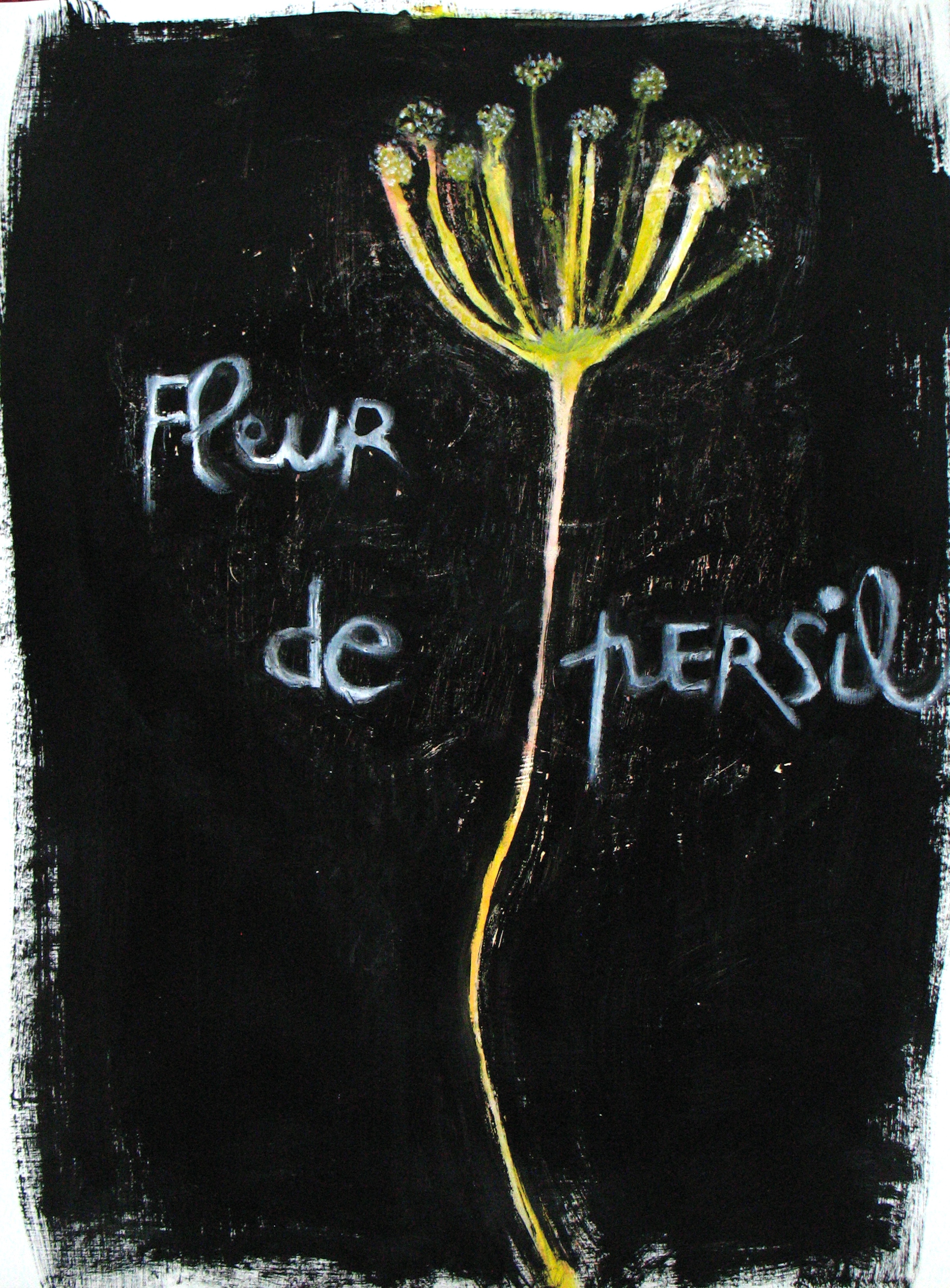 fleur de persil