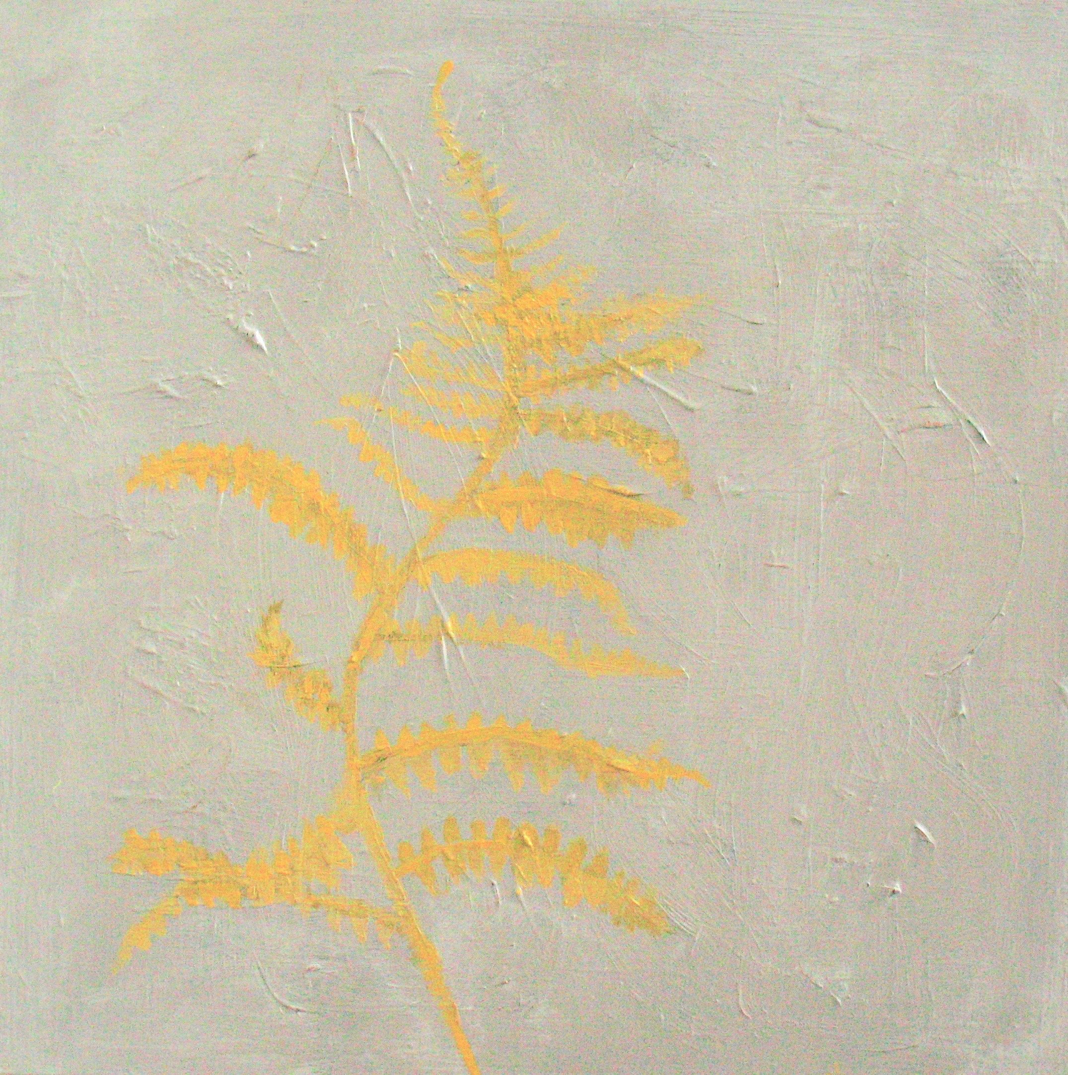 fern