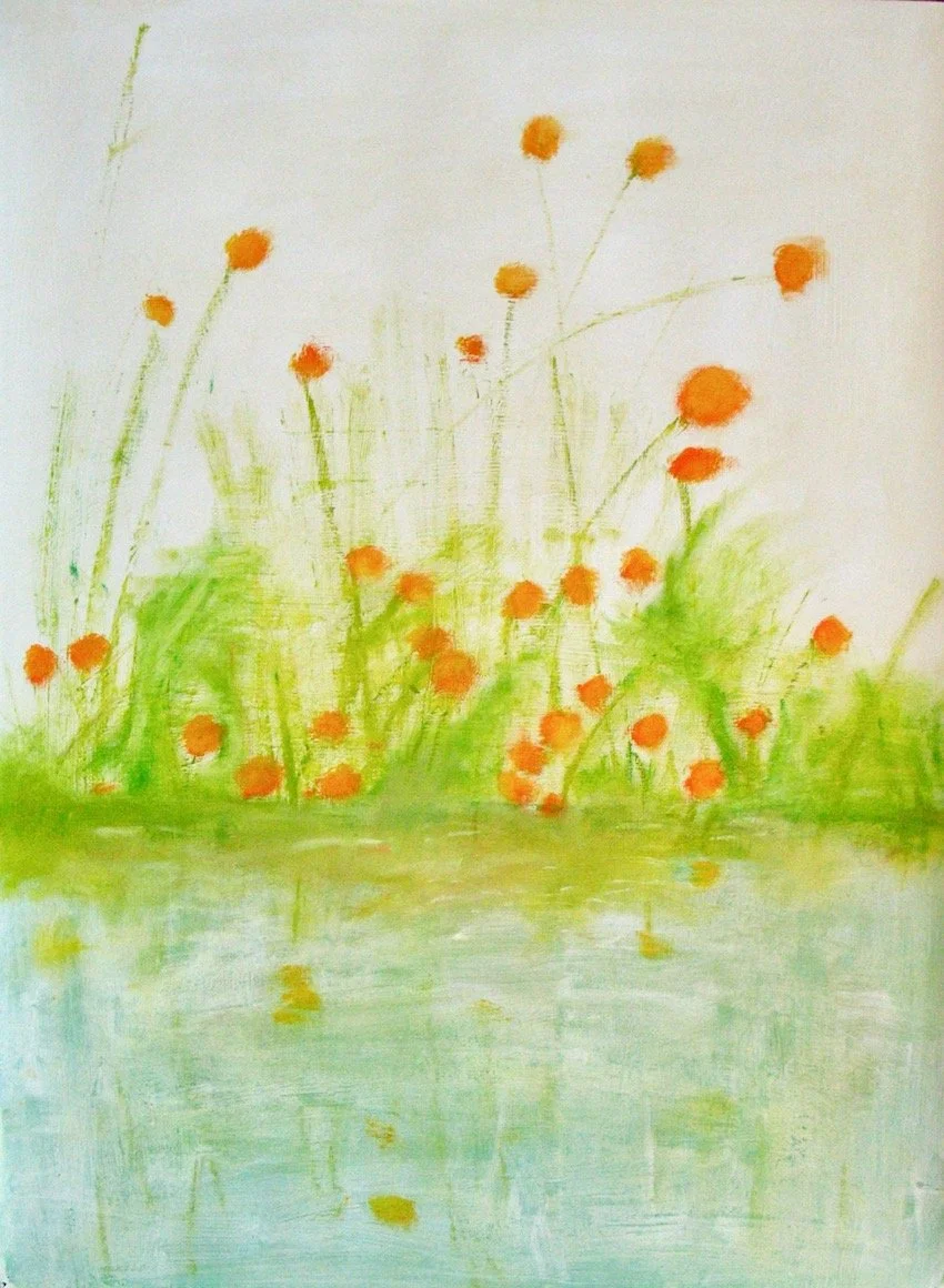 poppies by the river