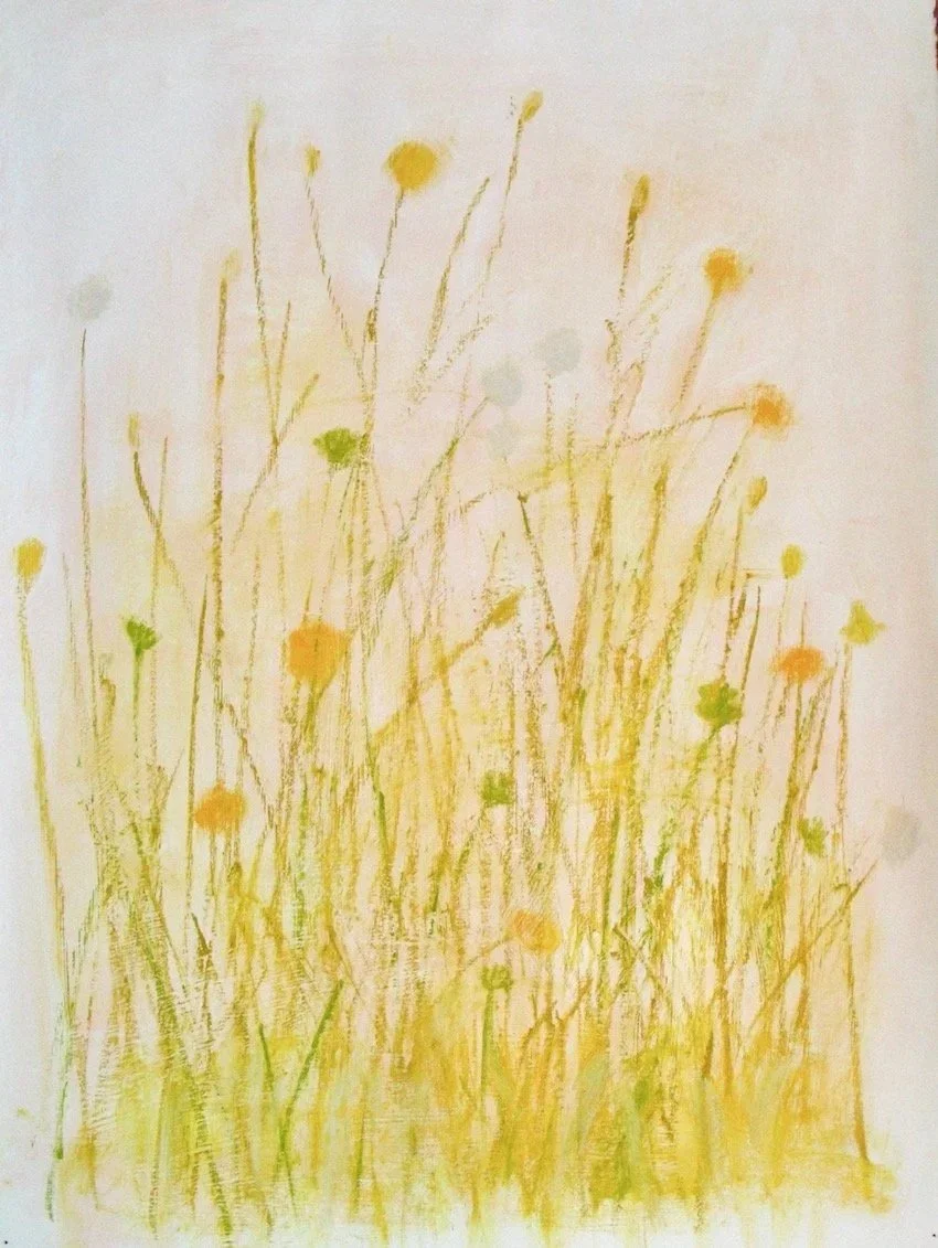 summer grasses at dusk