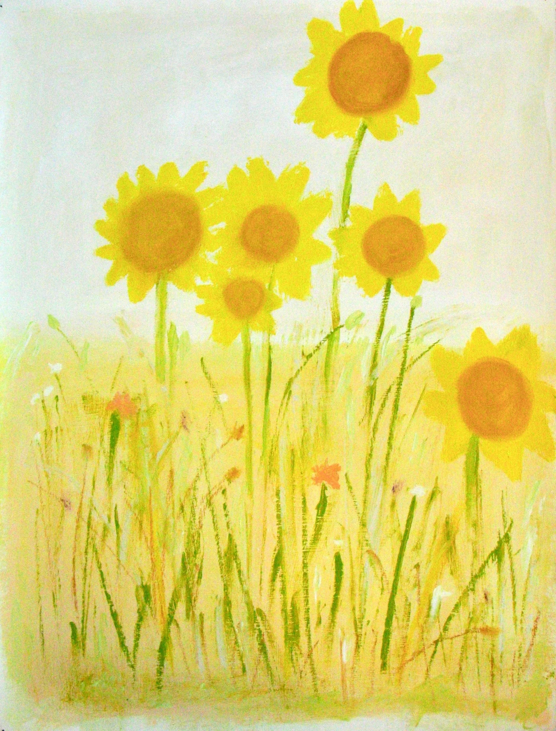 un champ de tournesols