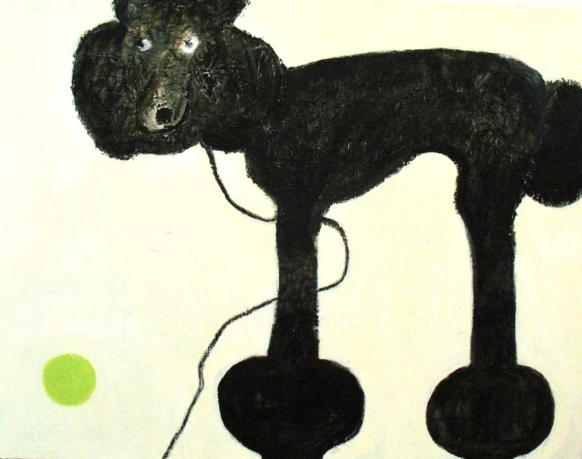 poodle with green ball